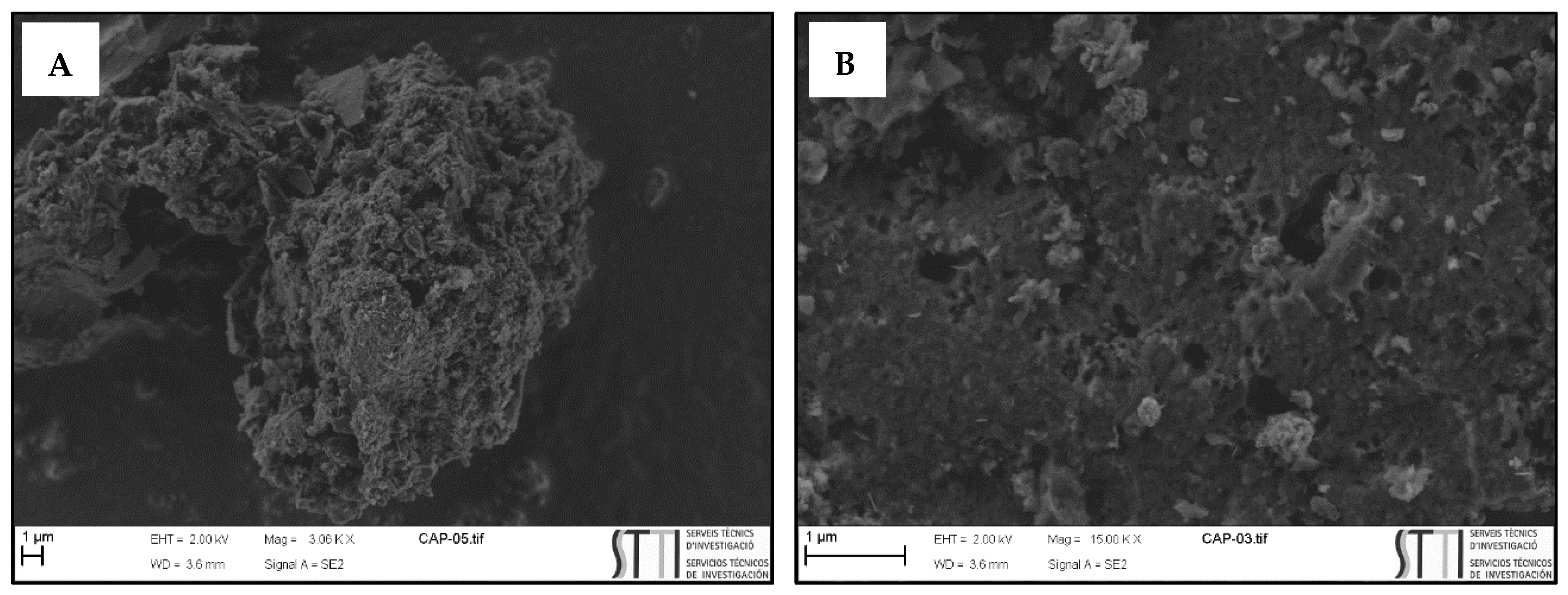 Ijerph 18 07163 g001 550