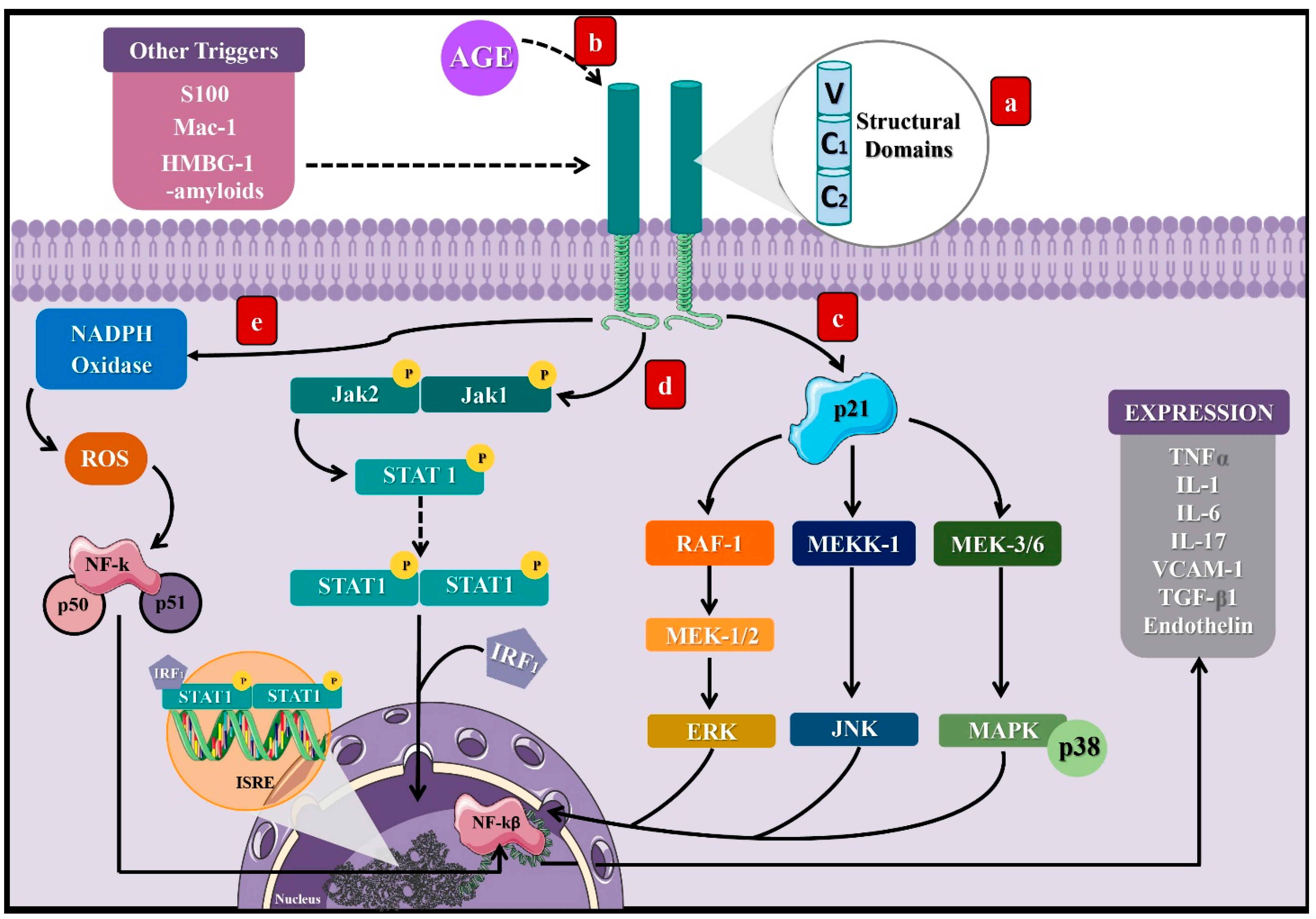 Ijerph 18 07236 g002