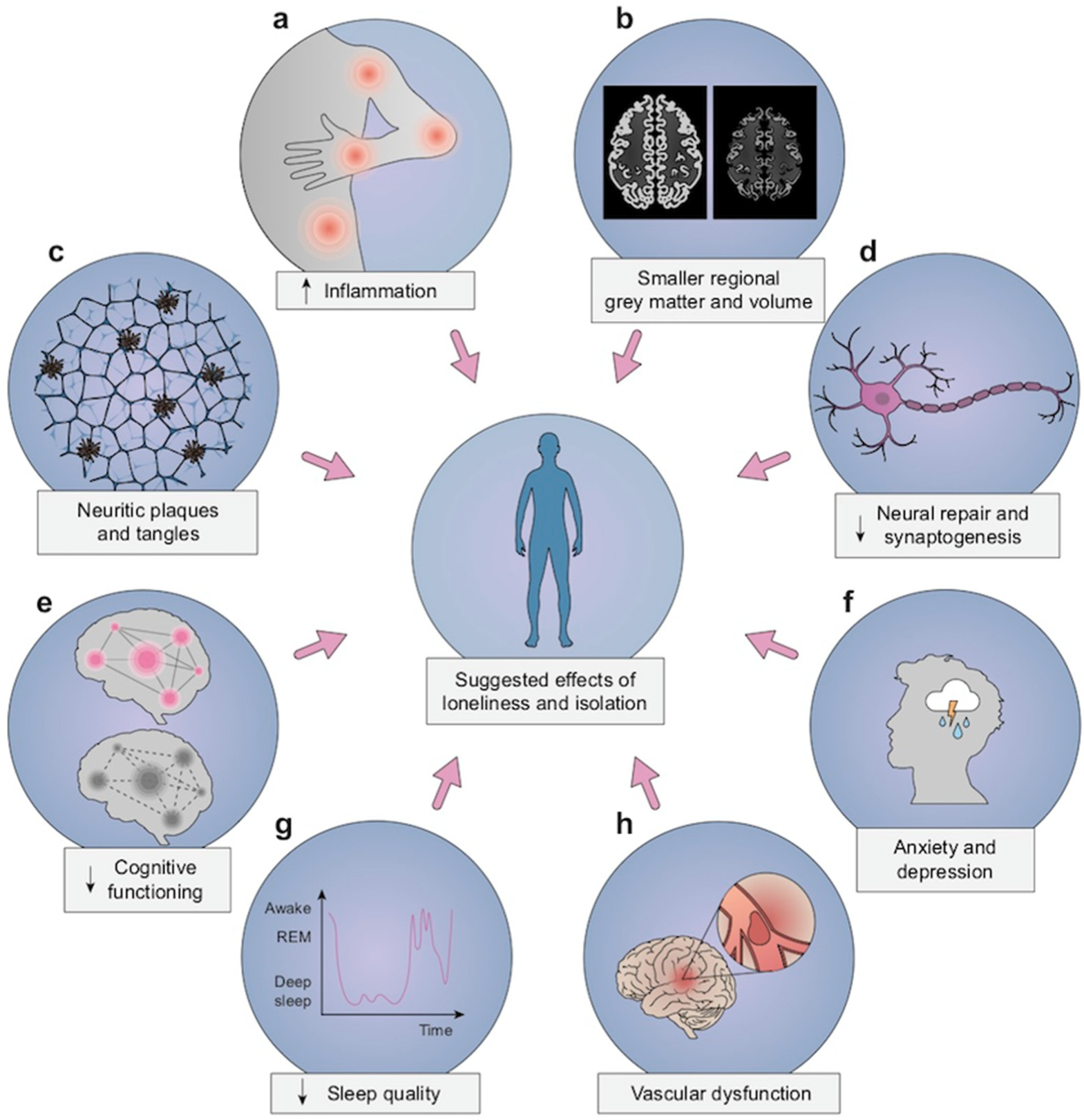 Ijerph 18 07307 g002 Ijerph 18 07307 g002