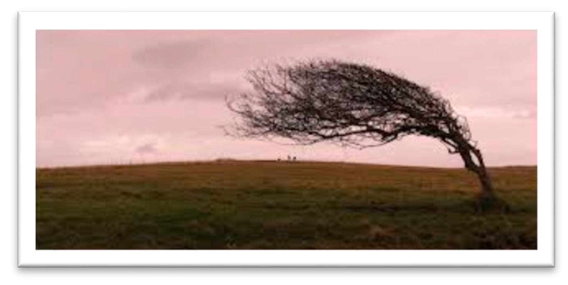 Ijerph 18 07434 g002a Ijerph 18 07434 g002a