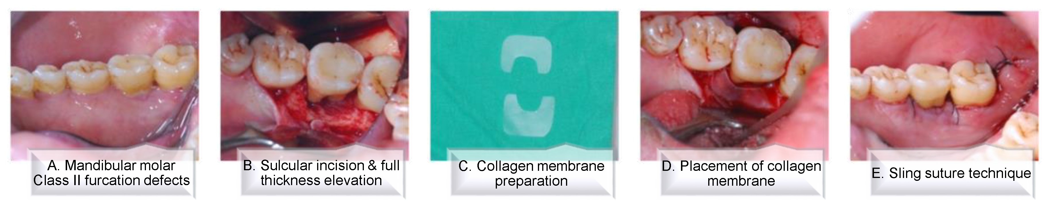 Ijerph 18 07447 g002 550