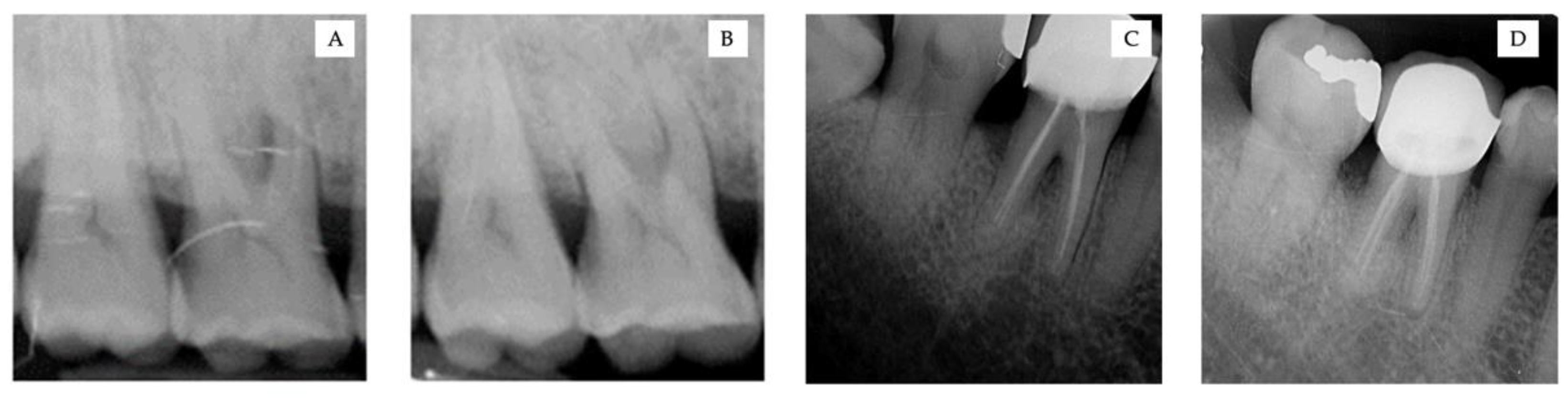 Ijerph 18 07447 g004 550