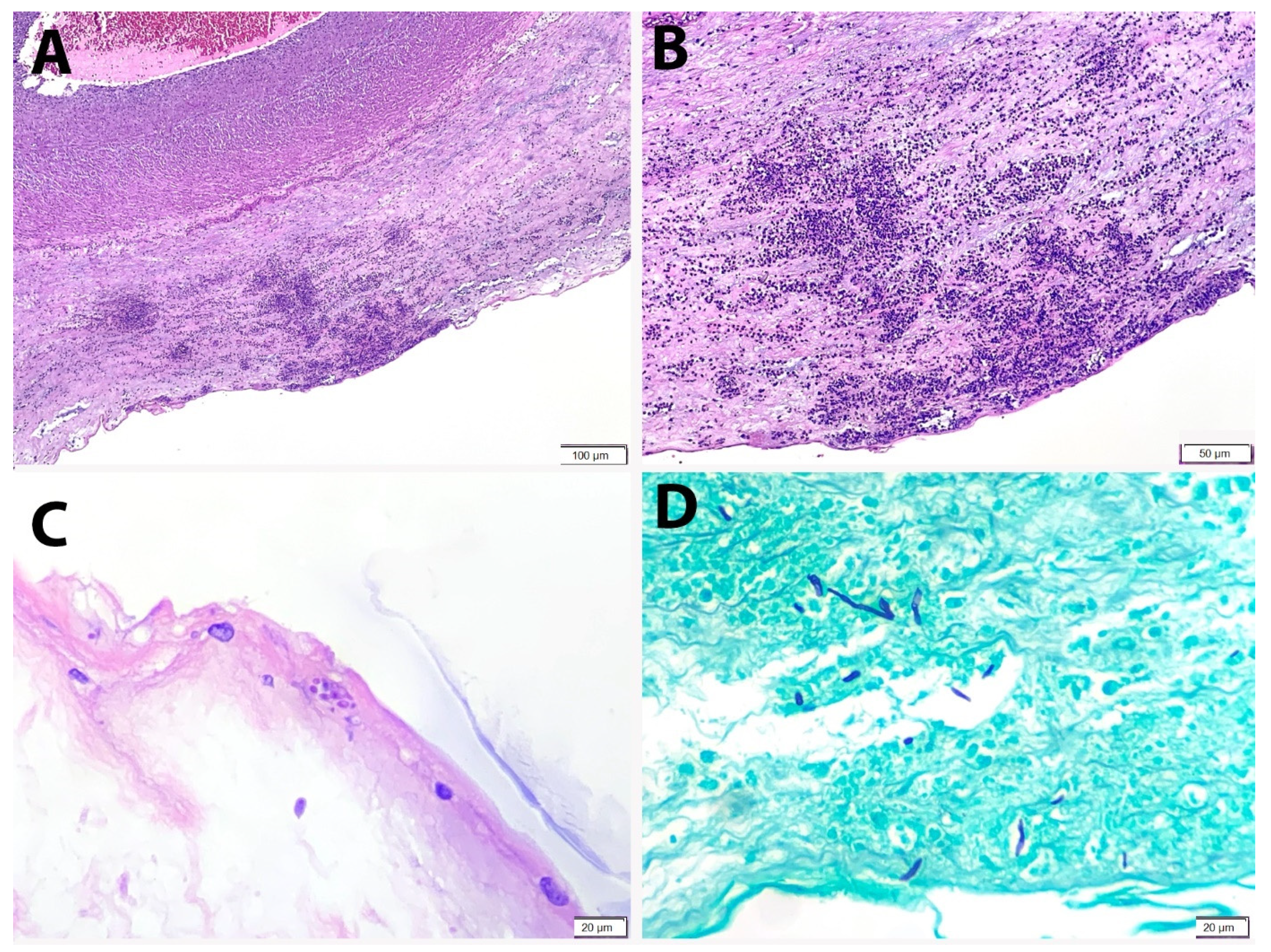 Ijerph 18 07450 g002 550