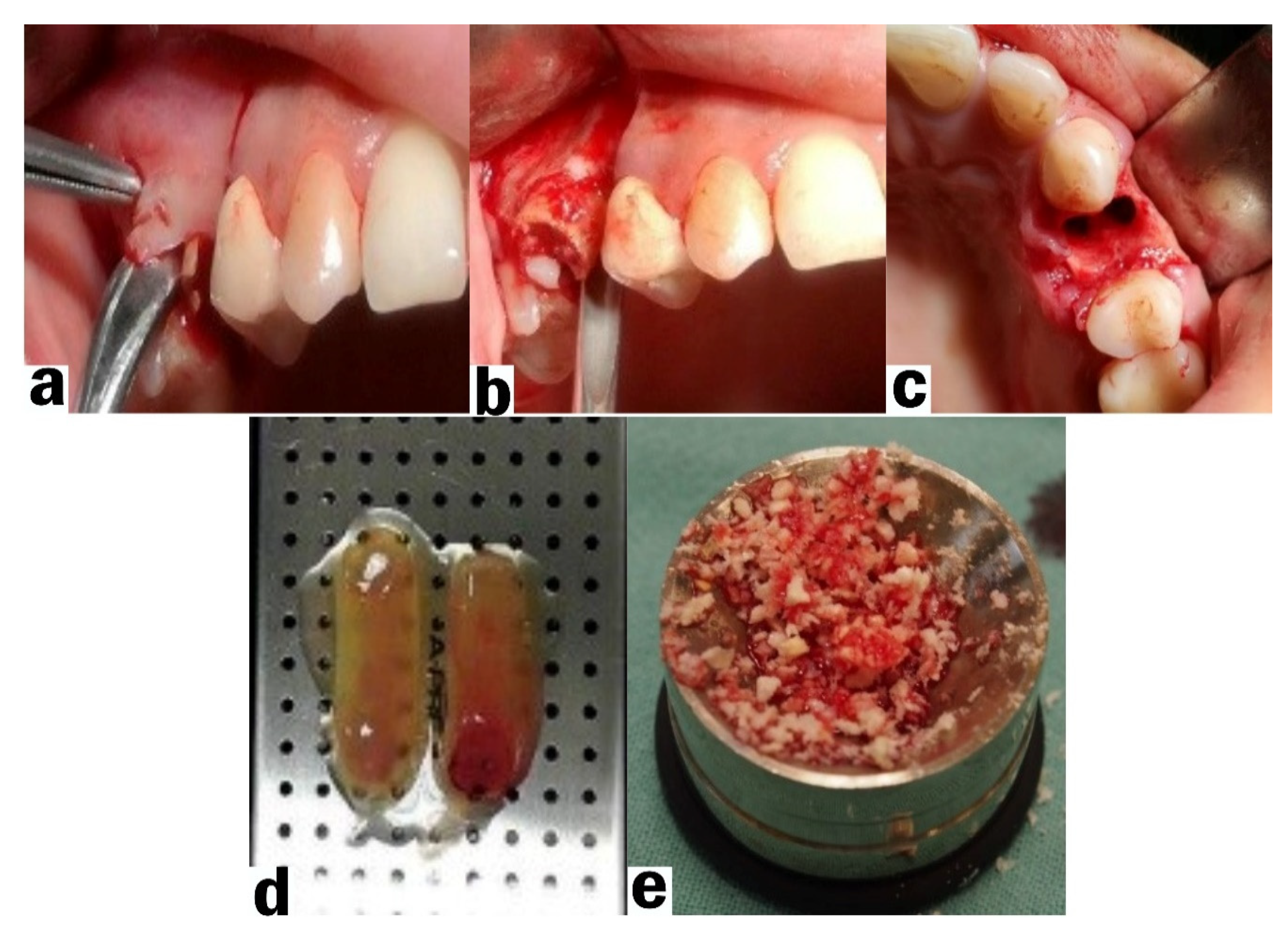 Ijerph 18 07451 g002