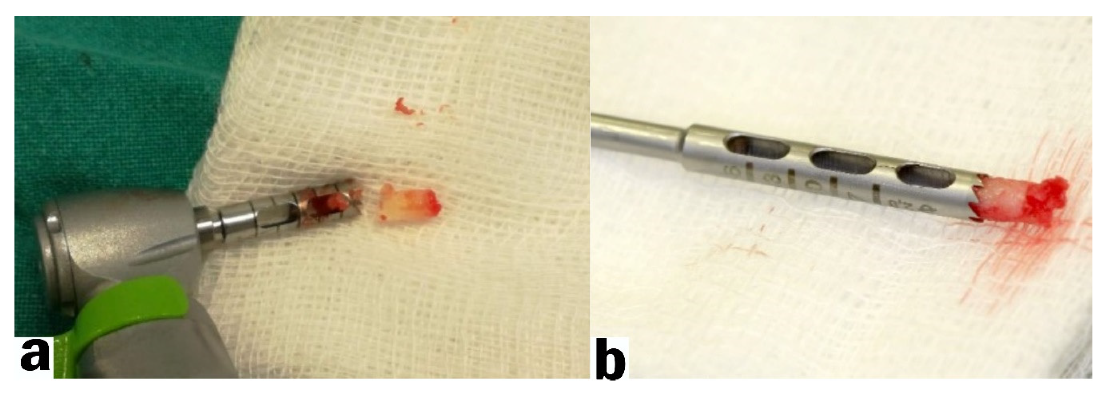 Ijerph 18 07451 g003