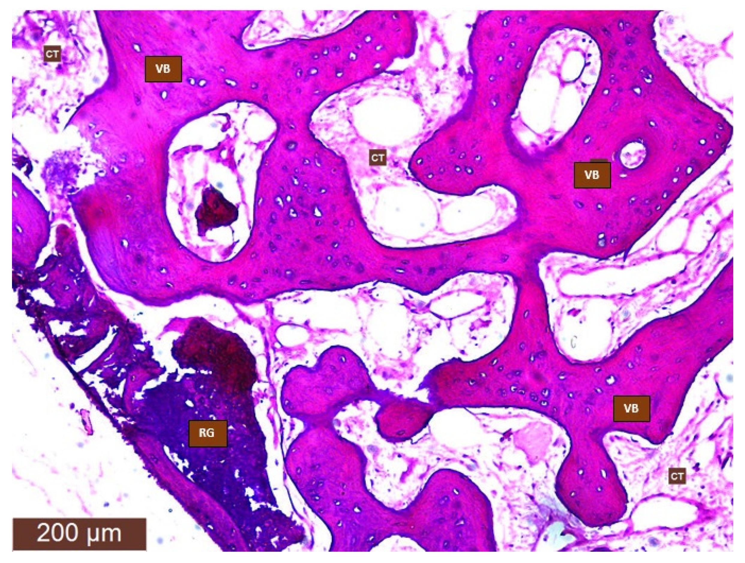 Ijerph 18 07451 g004