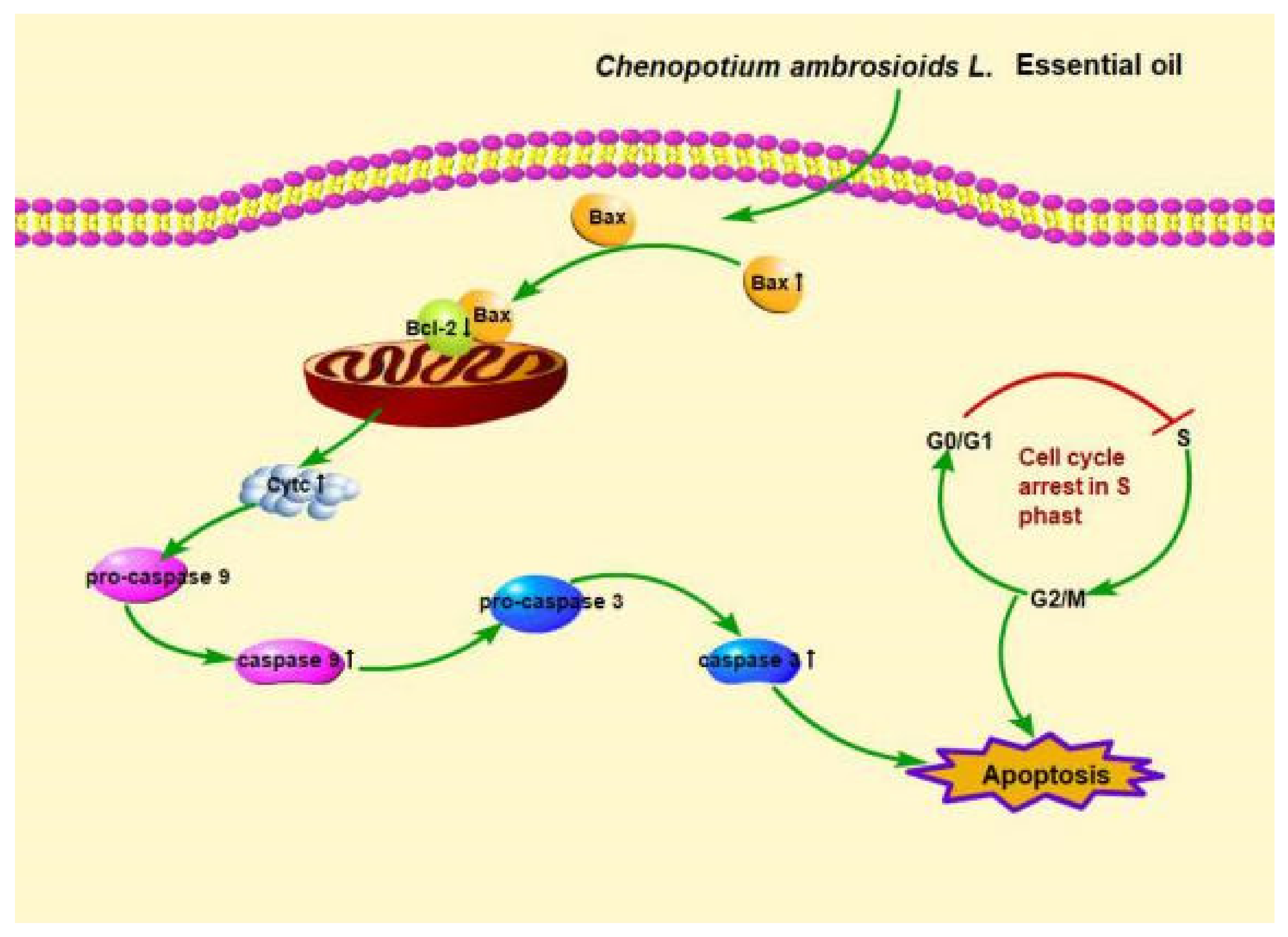 Ijerph 18 07469 g003 550