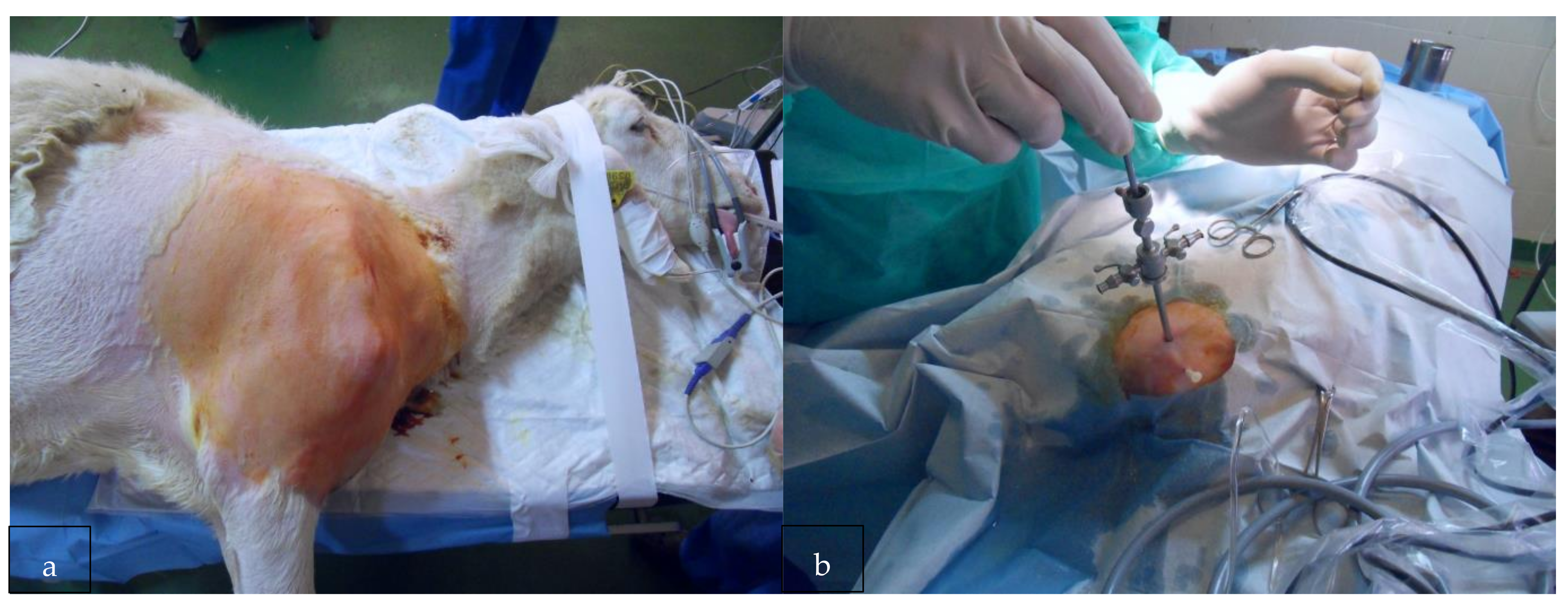 Ijerph 18 07471 g001