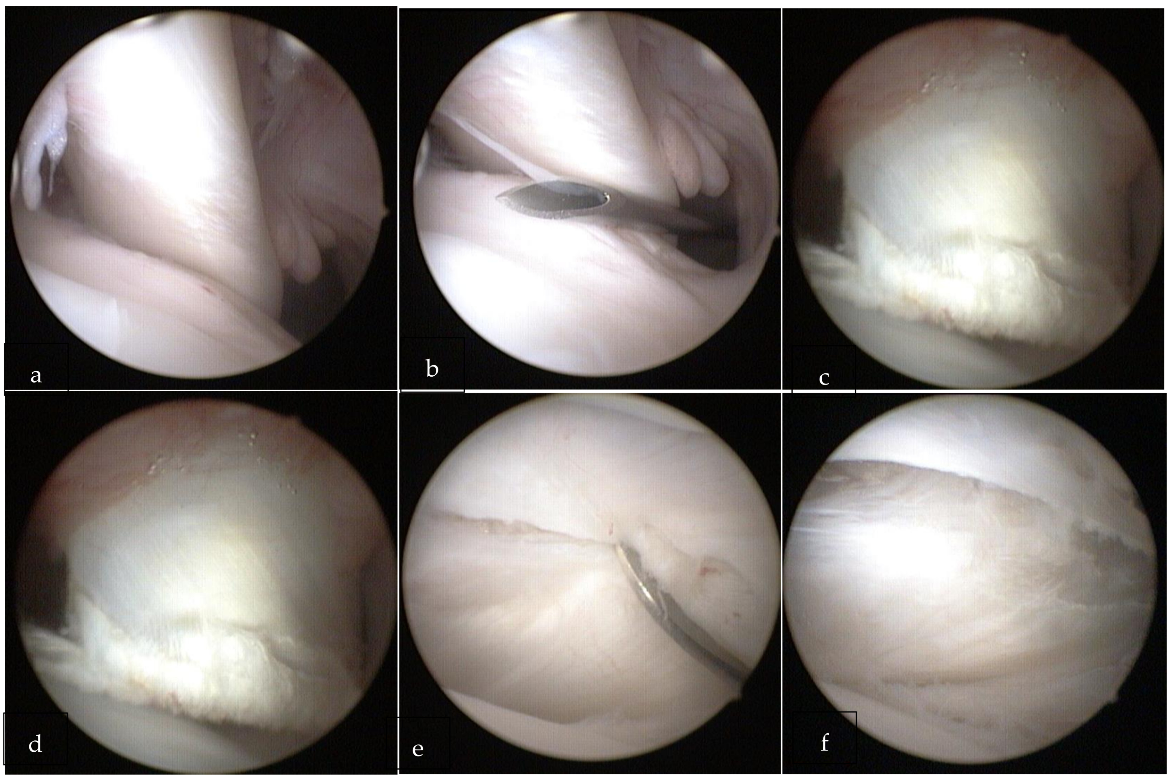 Ijerph 18 07471 g002