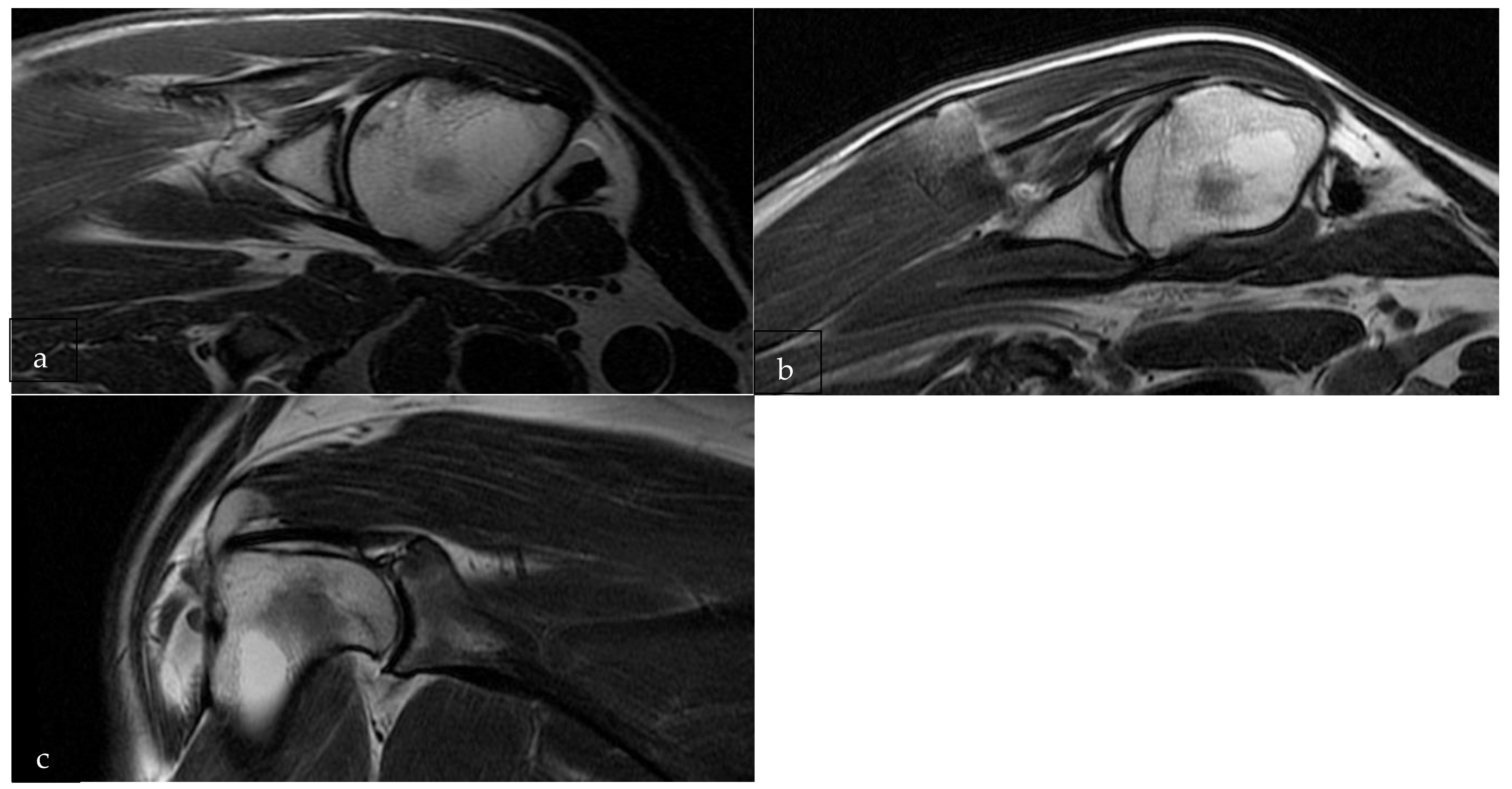 Ijerph 18 07471 g003