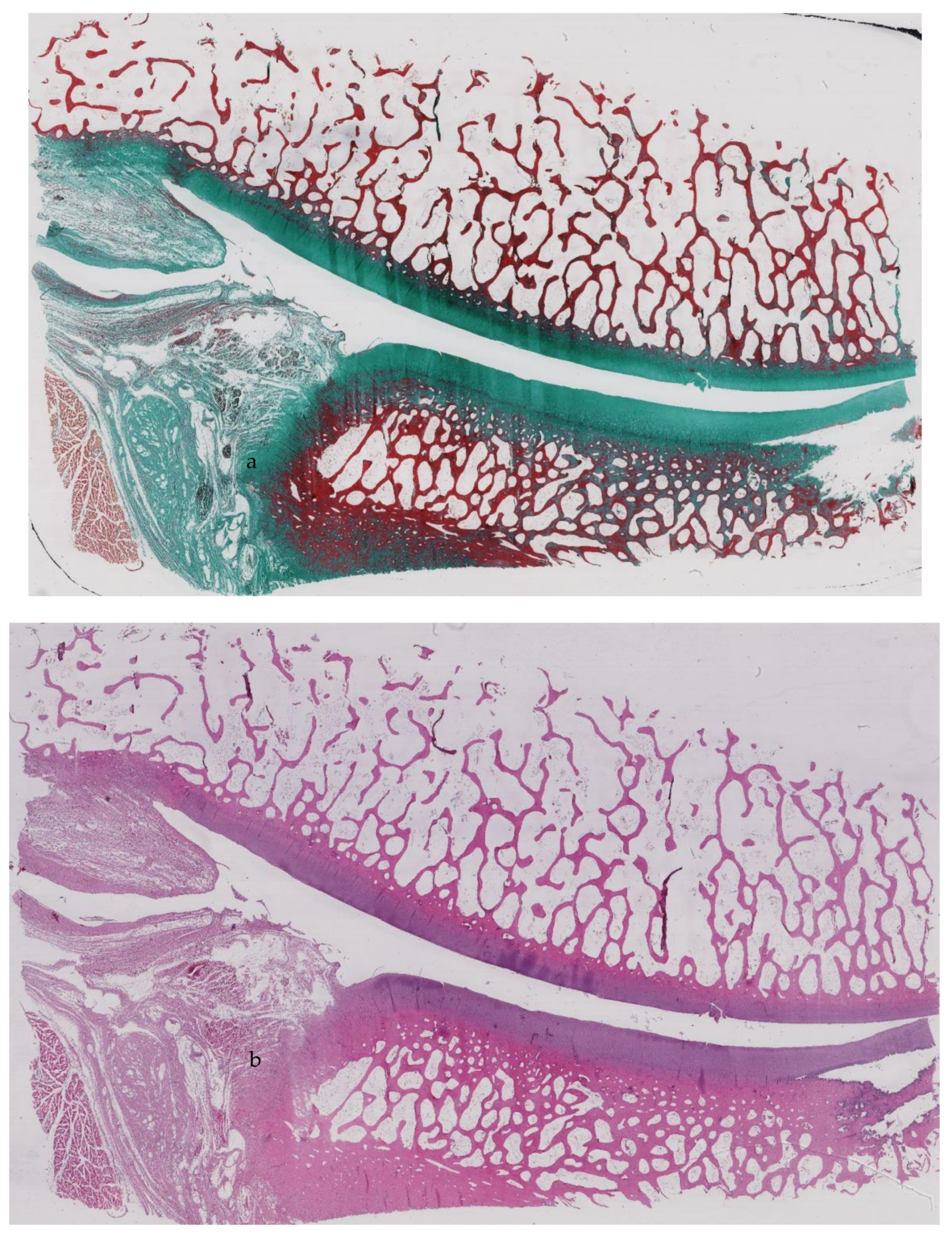 Ijerph 18 07471 g004