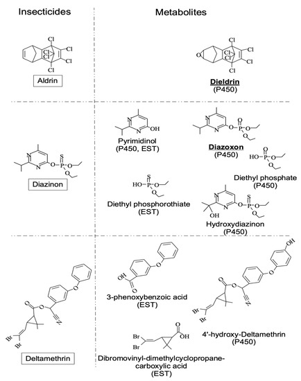 Ijerph Free Full Text The Foraging Gene A New Environmental Adaptation Player Involved In Xenobiotic Detoxification Html