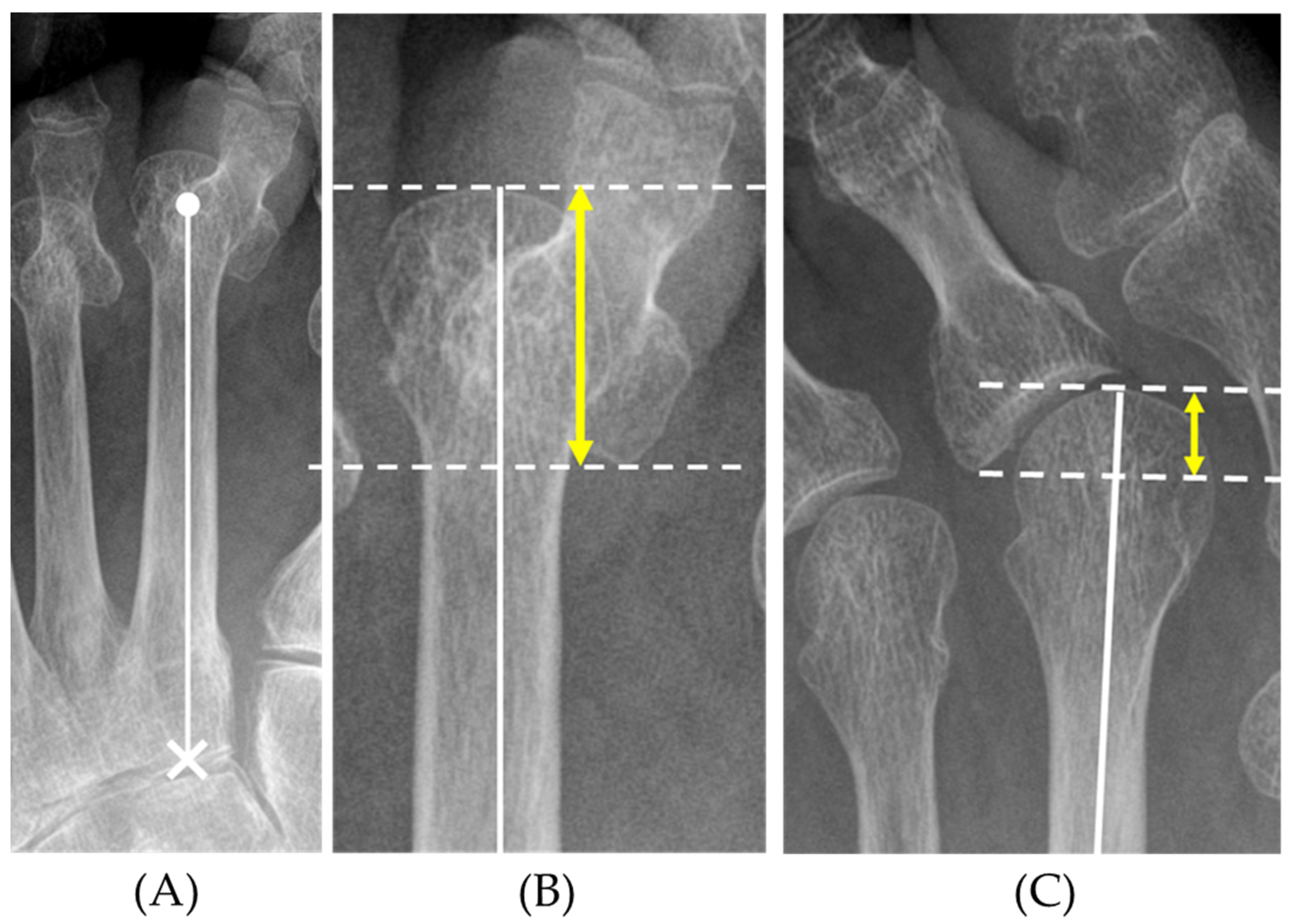 Ijerph 18 07520 g002