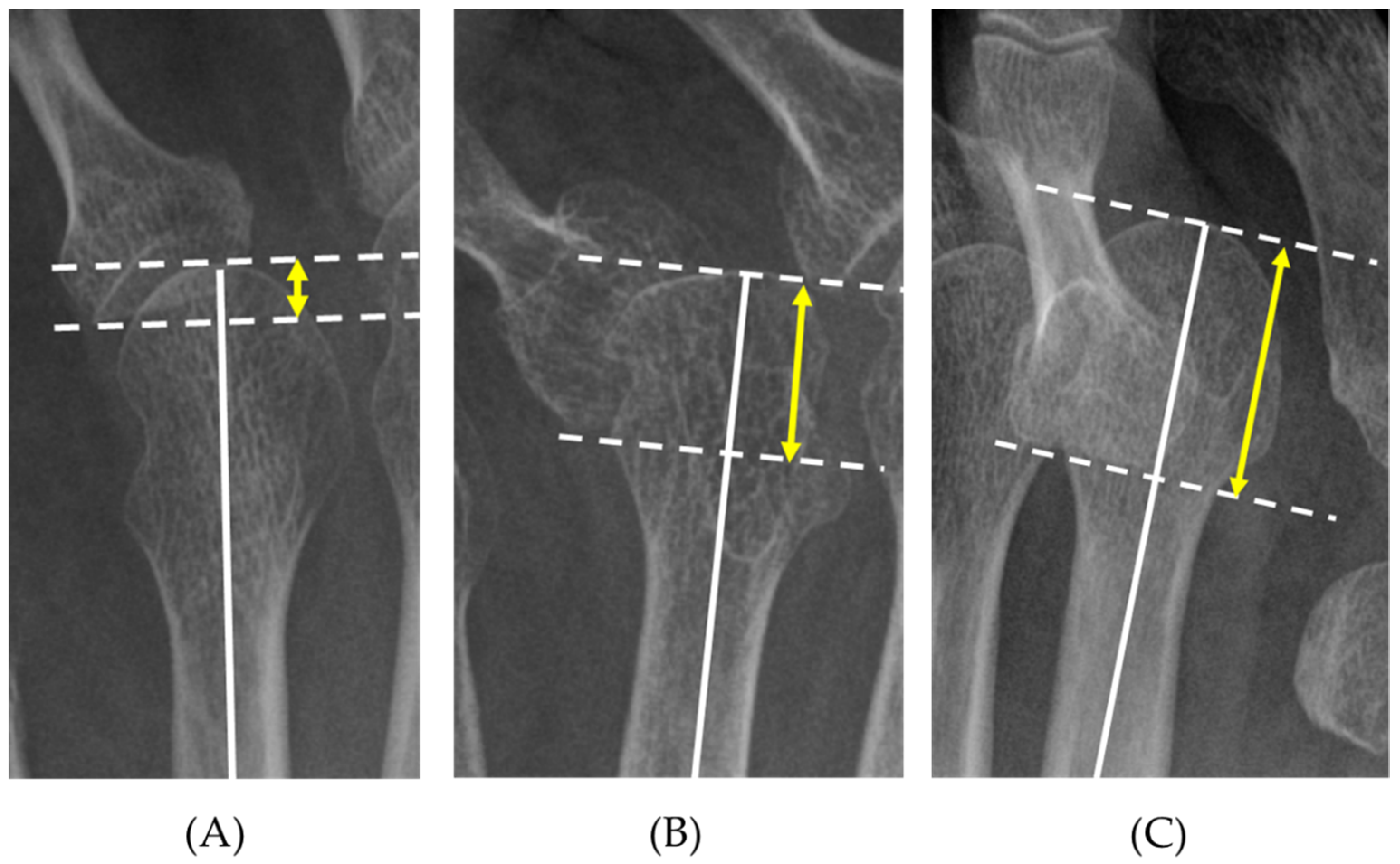Ijerph 18 07520 g004