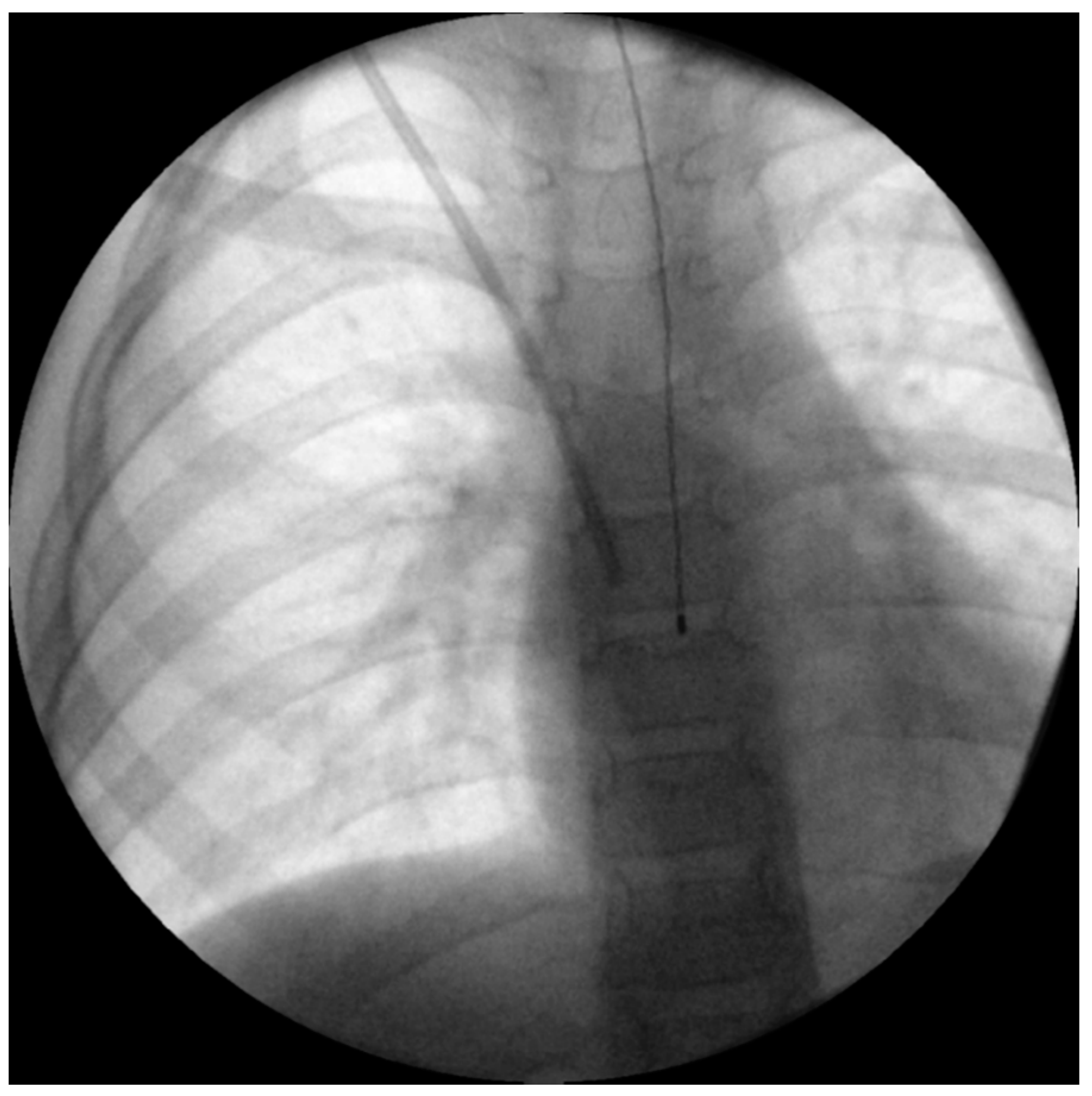 Ijerph 18 07541 g002 Ijerph 18 07541 g002