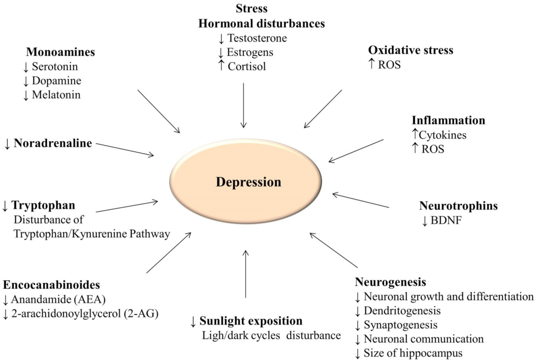 Ijerph 18 07553 g002