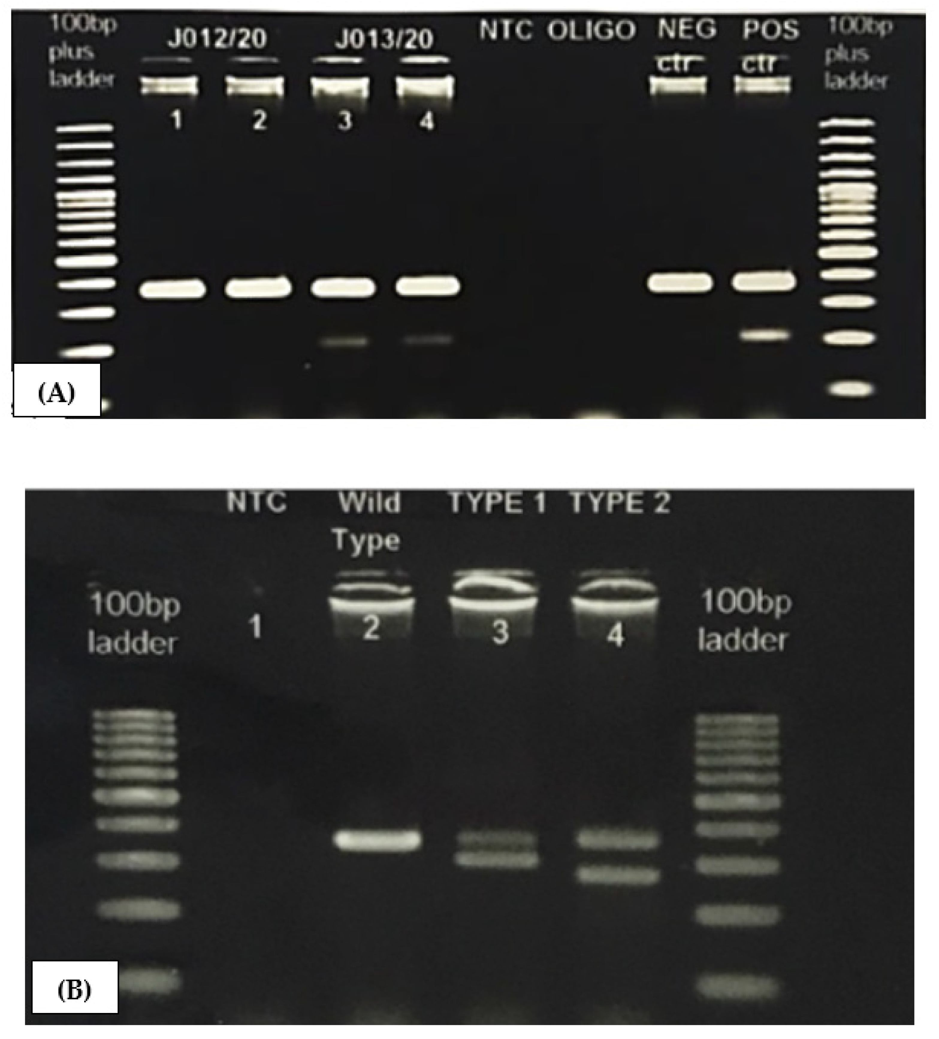 Ijerph 18 07582 g002