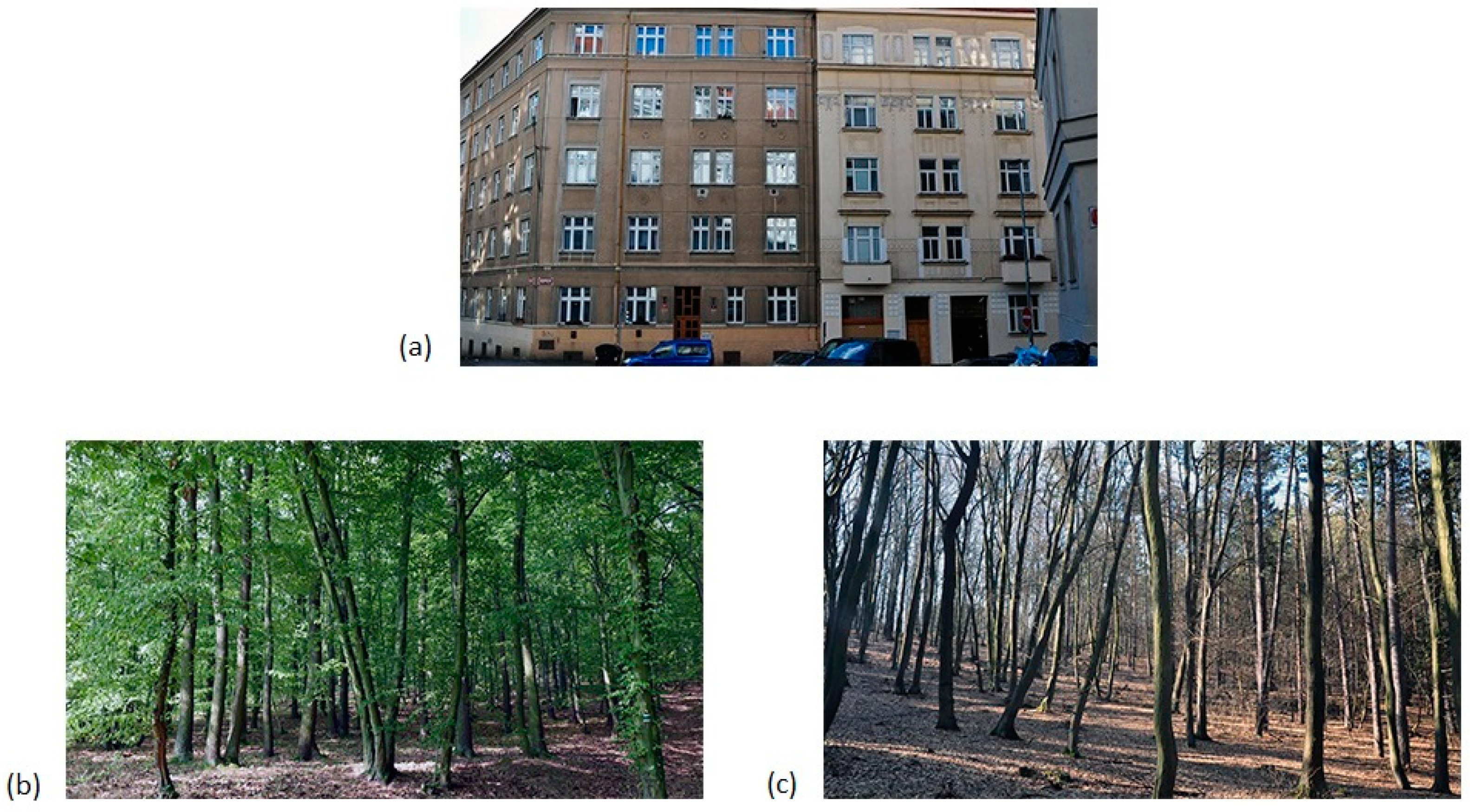 Ijerph 18 07651 g001