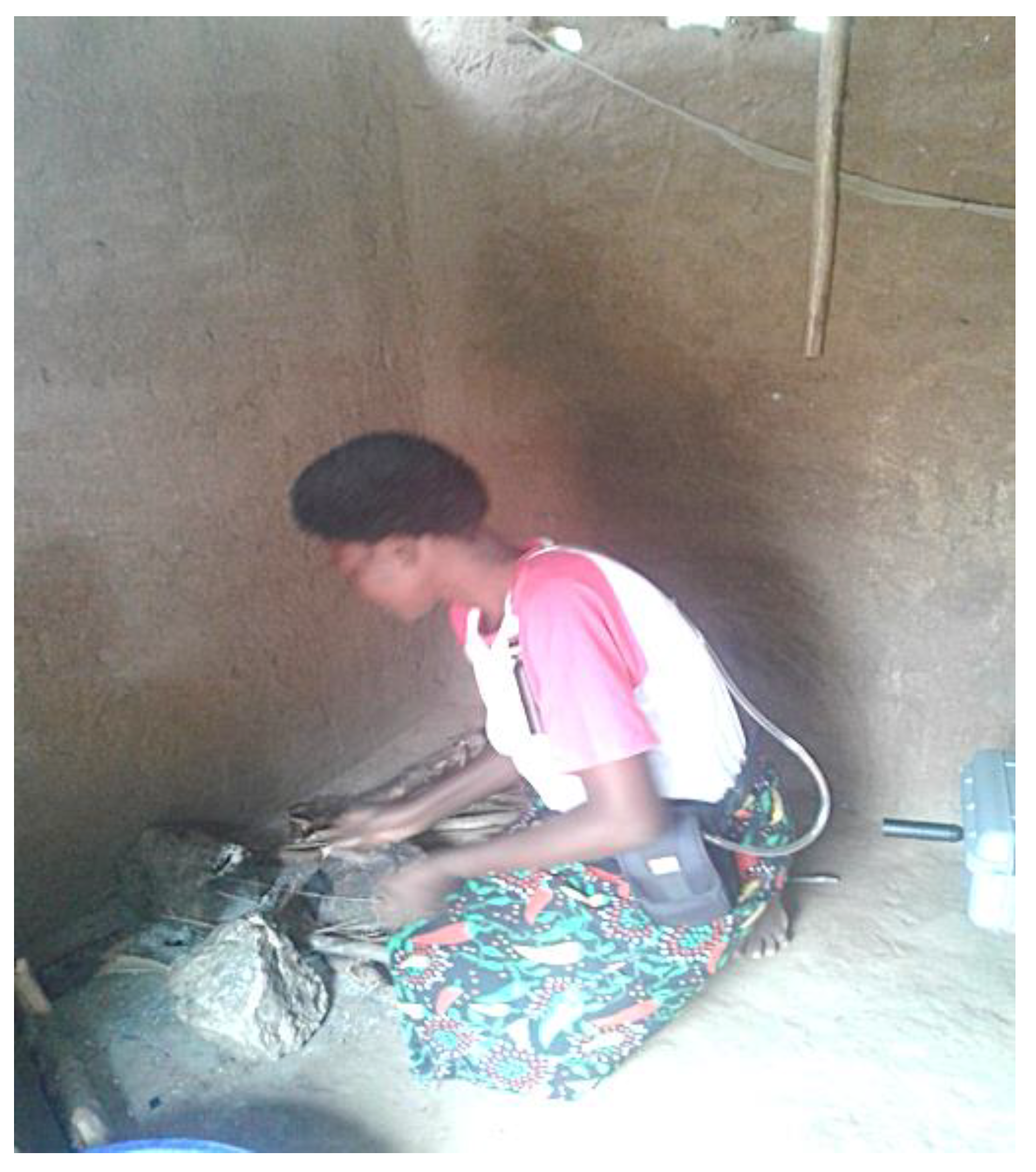 Ijerph 18 07680 g005 550