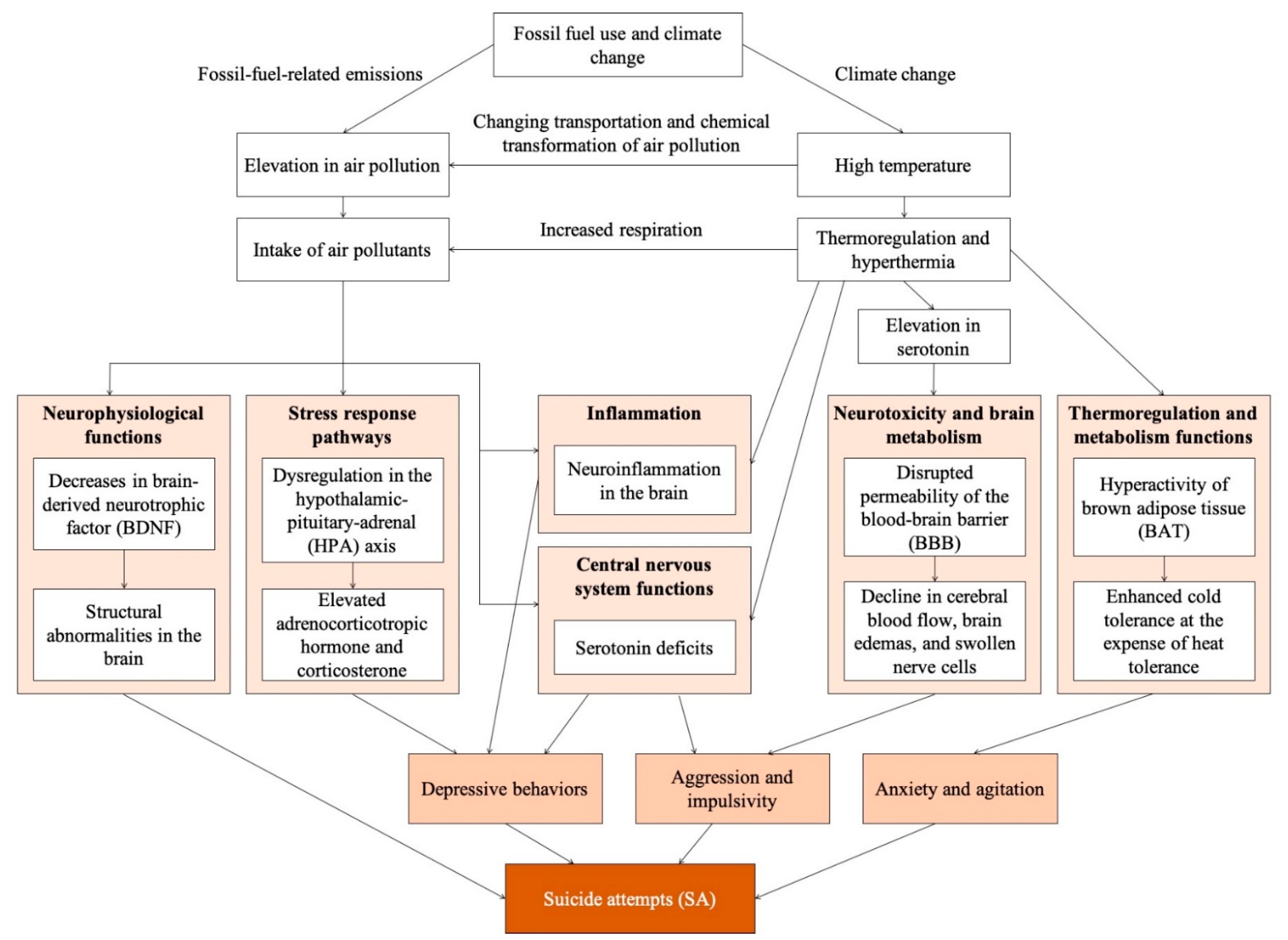 Ijerph 18 07699 g001 550