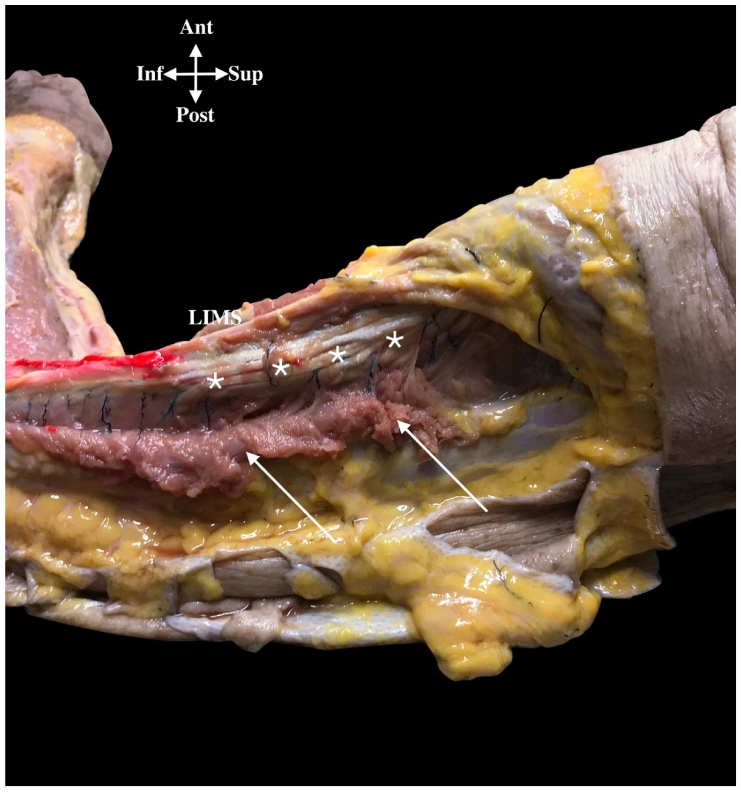 Ijerph 18 07733 g007