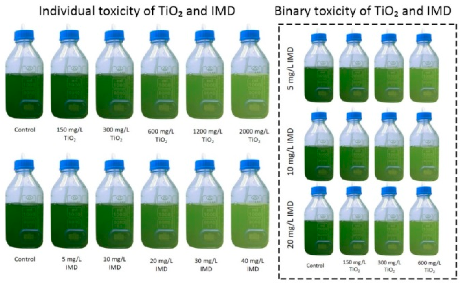 Ijerph 18 07785 g001 550