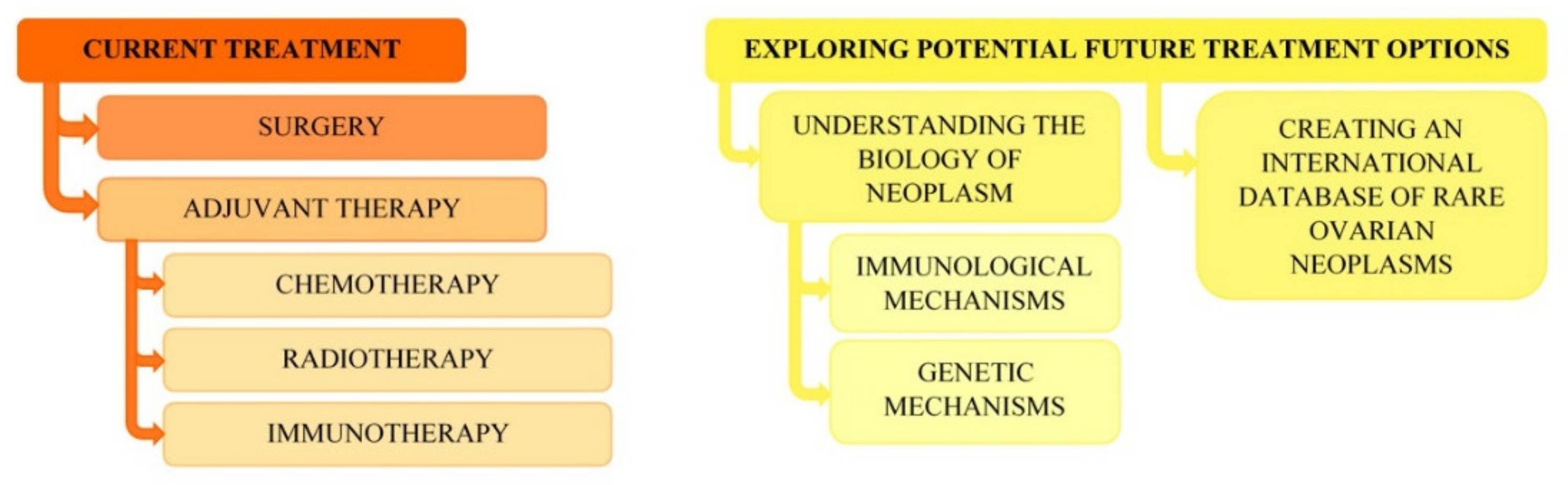 Ijerph Free Full Text Therapeutic Management Of Rare Primary Ovarian Neoplasms Carcinosarcoma Leiomyosarcoma Melanoma And Carcinoid Html