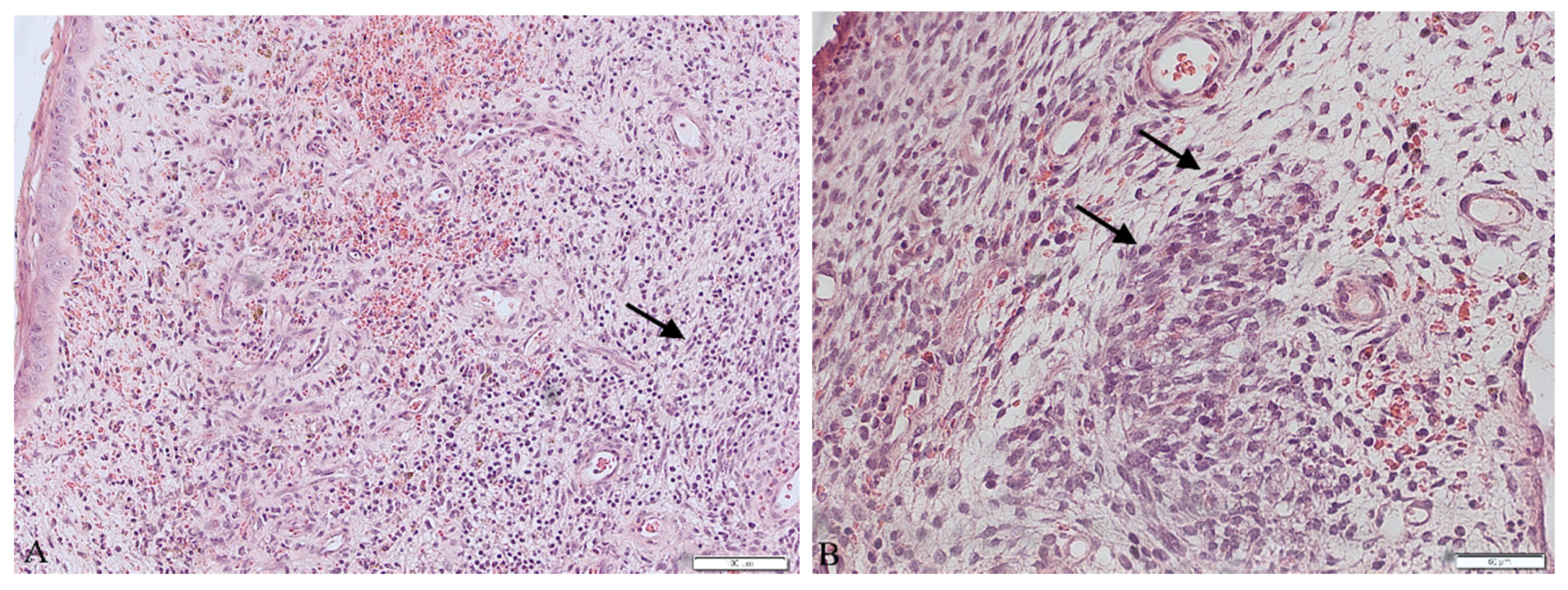 Ijerph 18 07851 g001 550