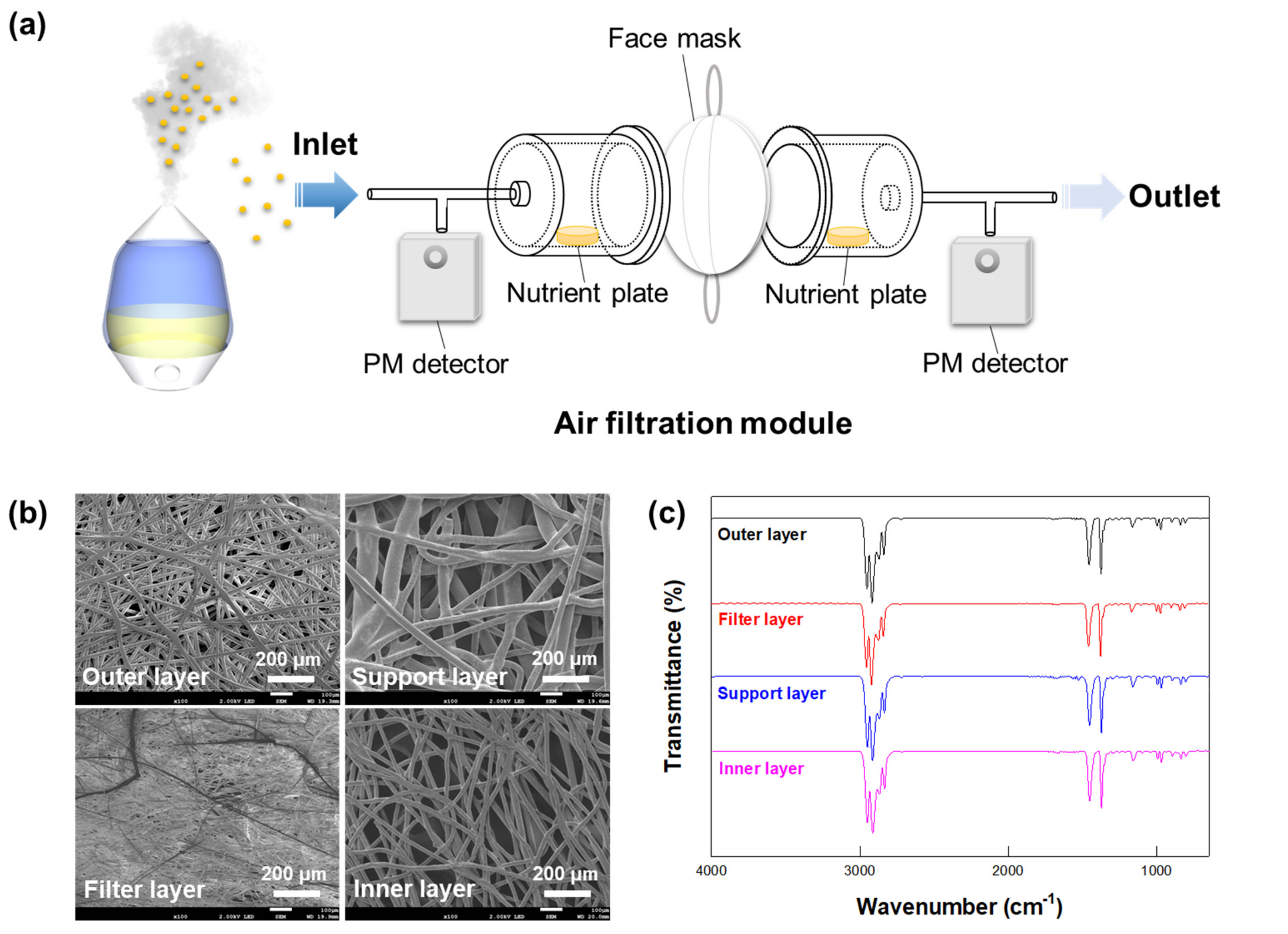 Ijerph 18 07909 g001