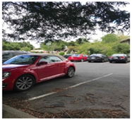 Ijerph 18 07933 i001