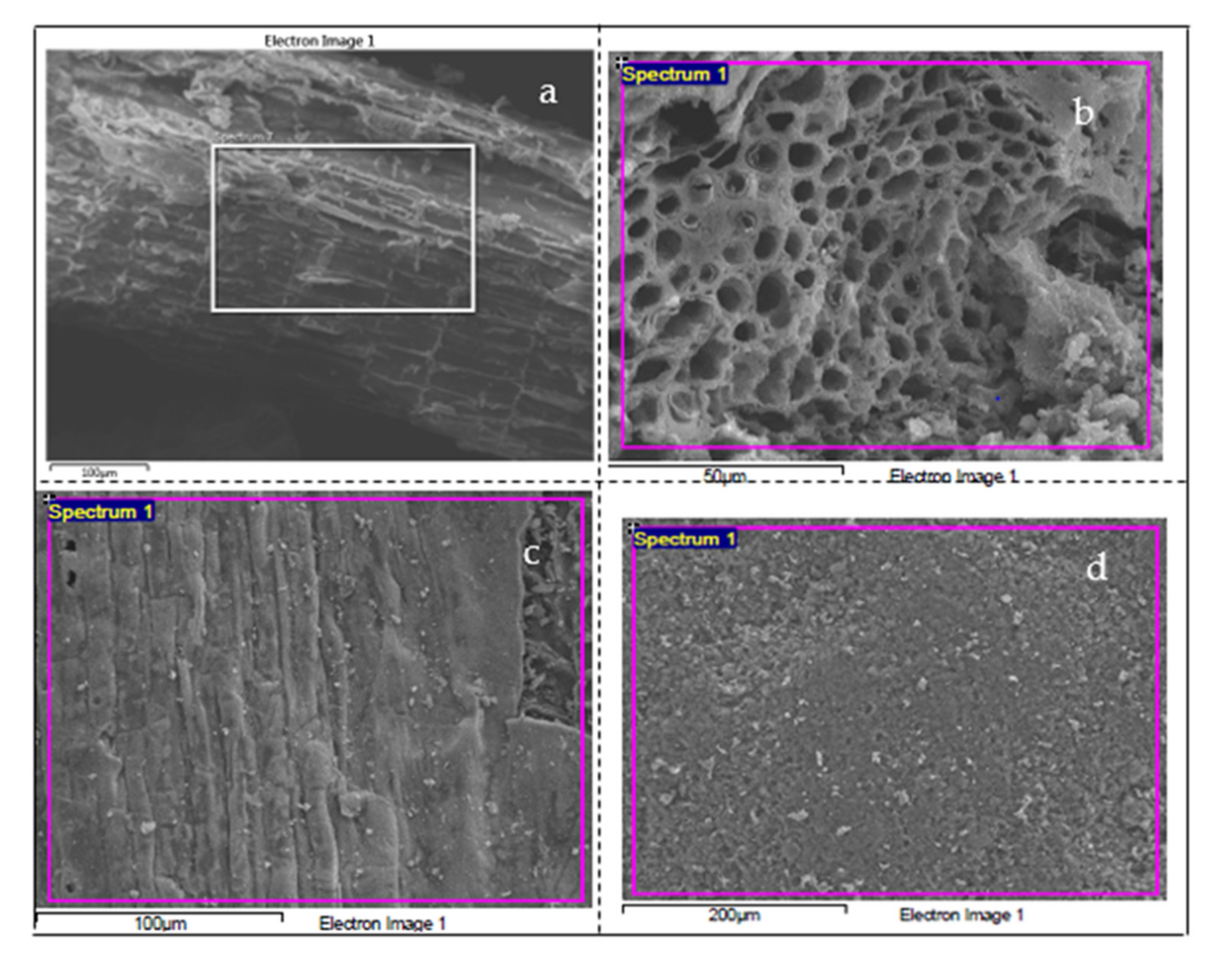 Ijerph 18 07949 g005 550