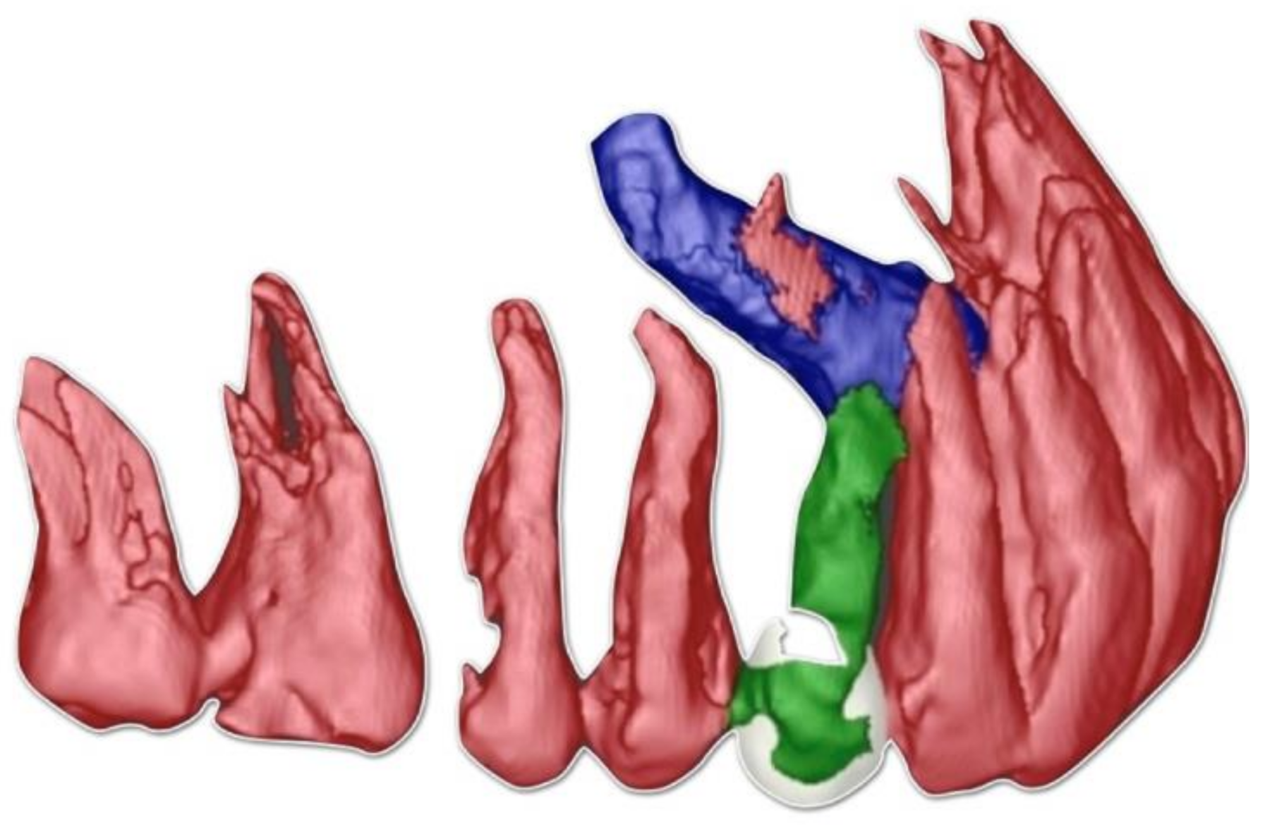 Ijerph 18 07998 g002 Ijerph 18 07998 g002