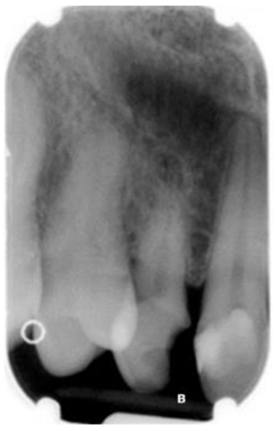 Ijerph 18 07998 g003 Ijerph 18 07998 g003