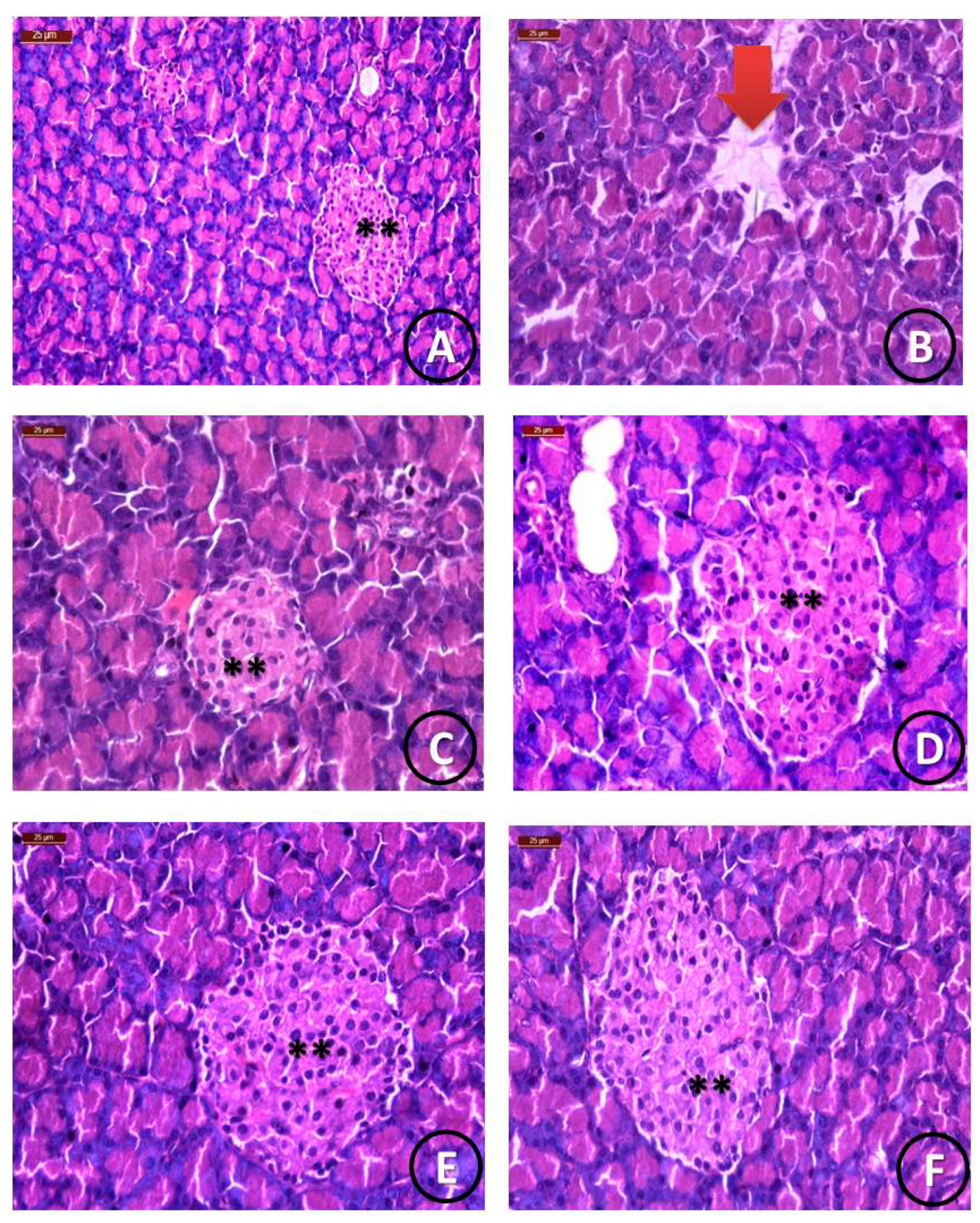 Ijerph 18 08030 g006a