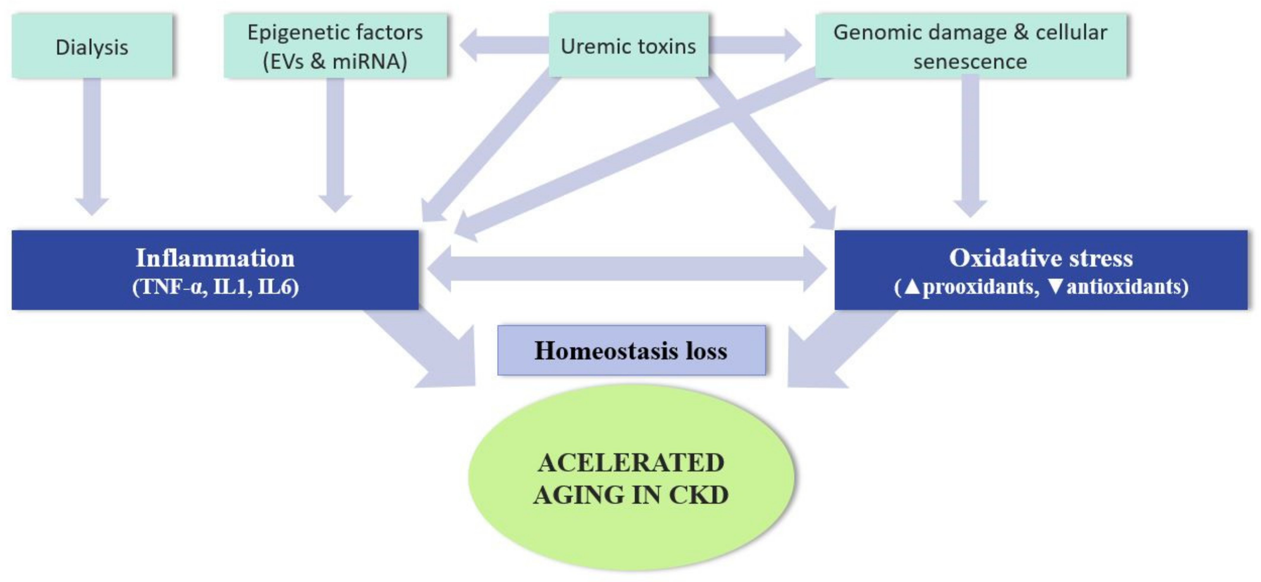 Ijerph 18 08044 g003