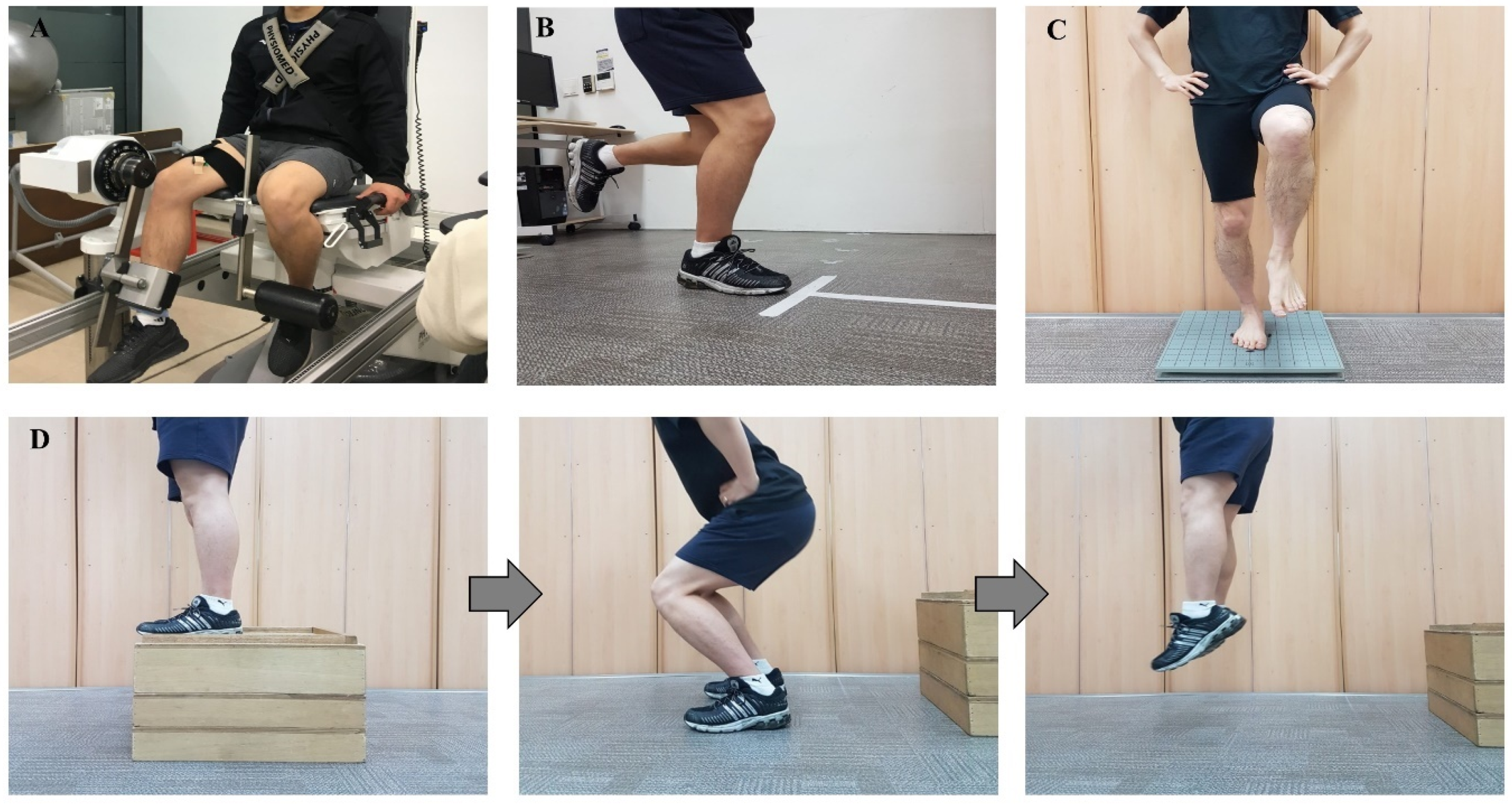 Ijerph 18 08053 g001 550