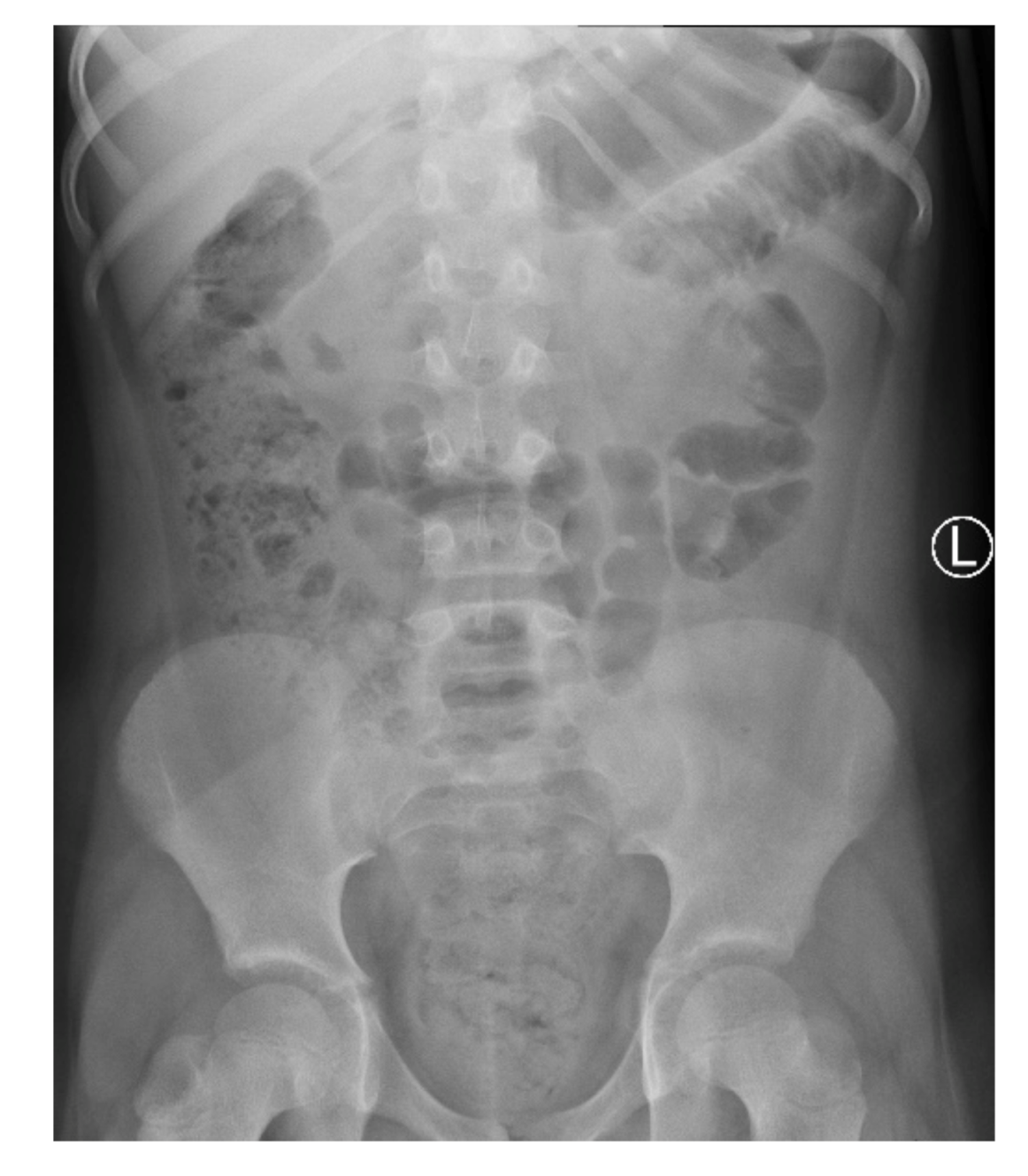 Ijerph 18 08057 g001