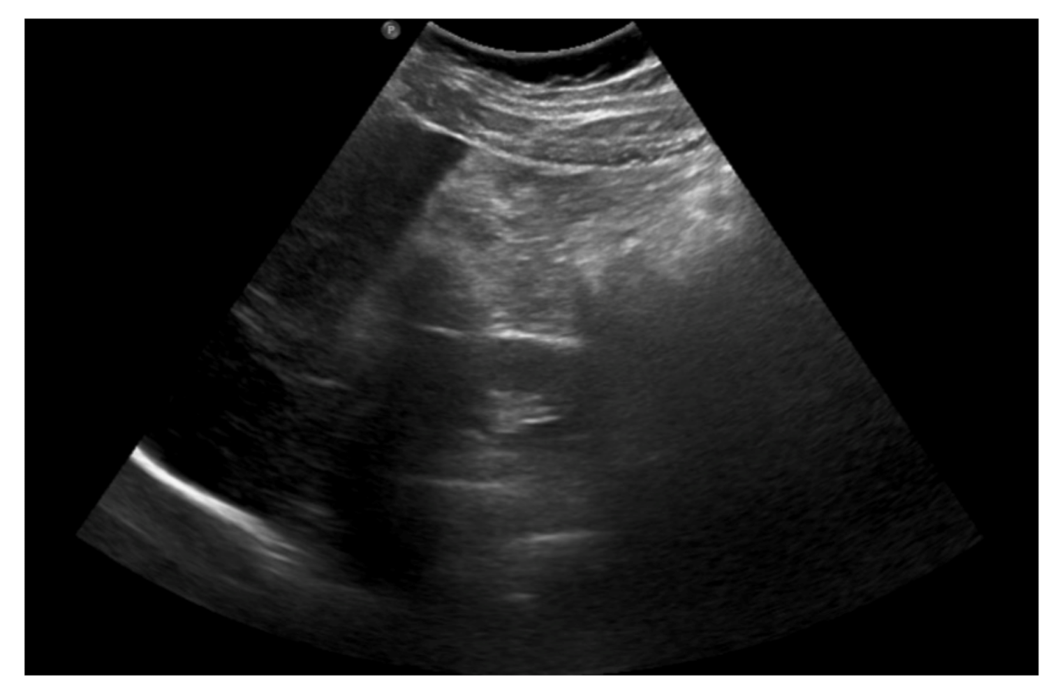 Ijerph 18 08057 g002