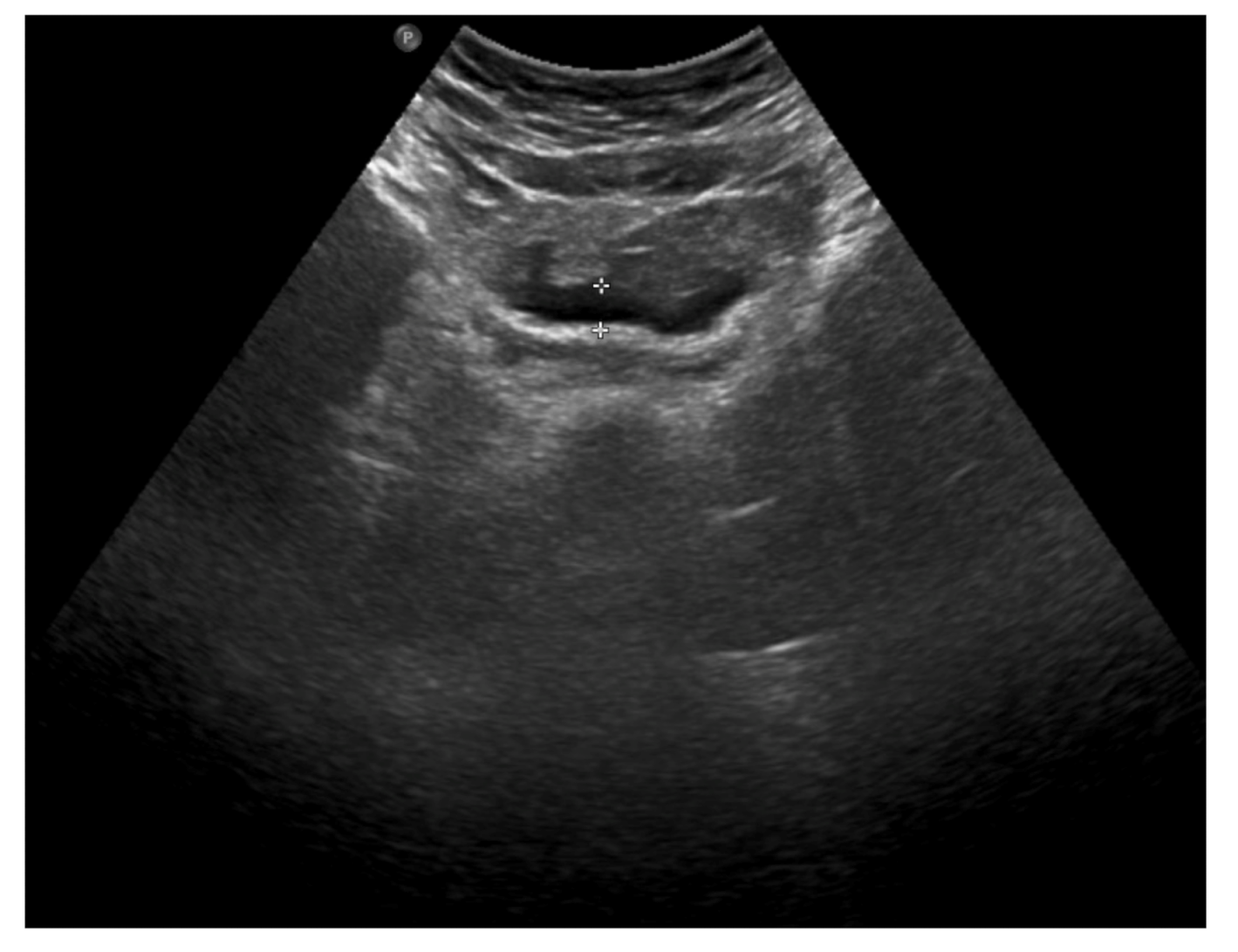 Ijerph 18 08057 g004