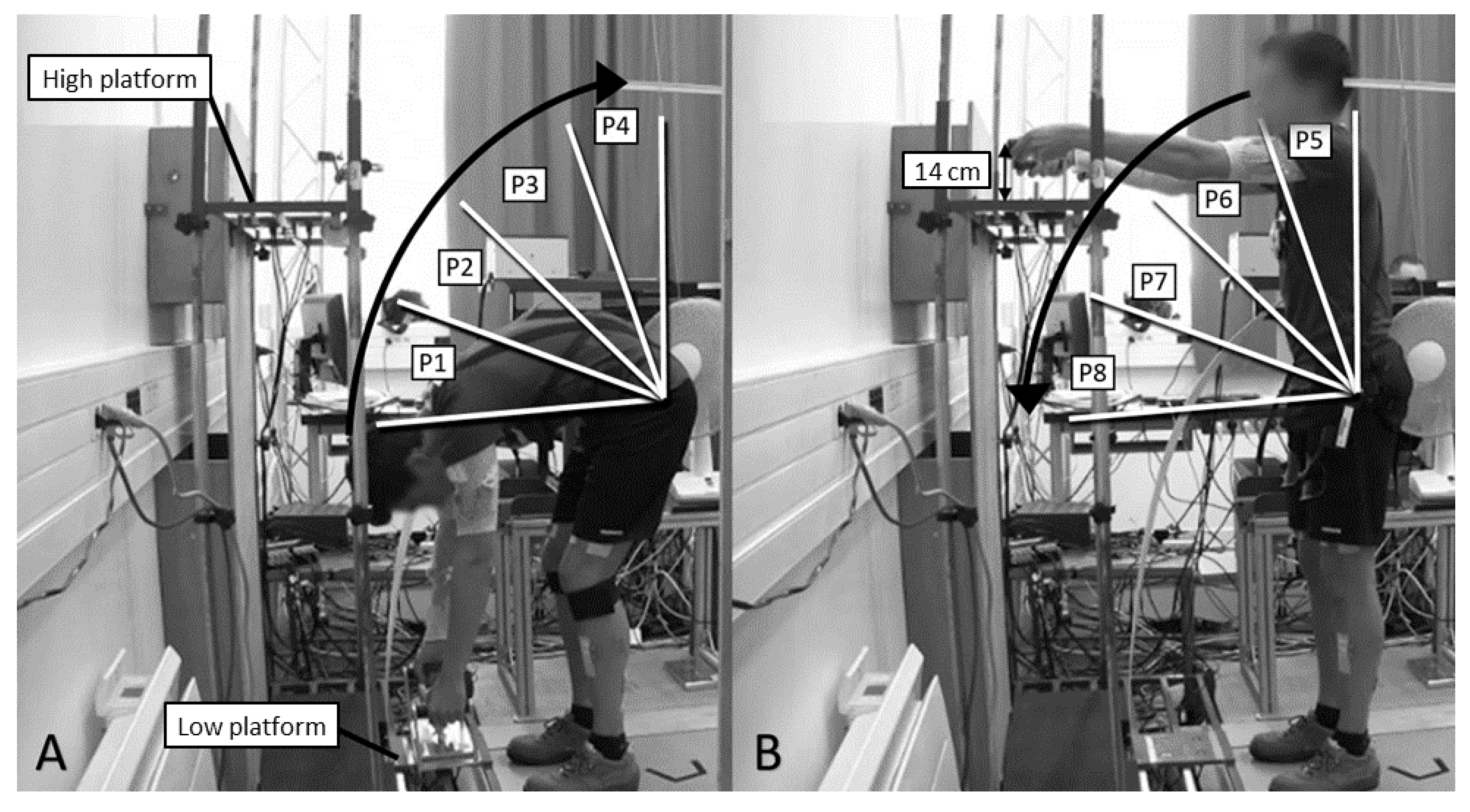Ijerph 18 08062 g001 550