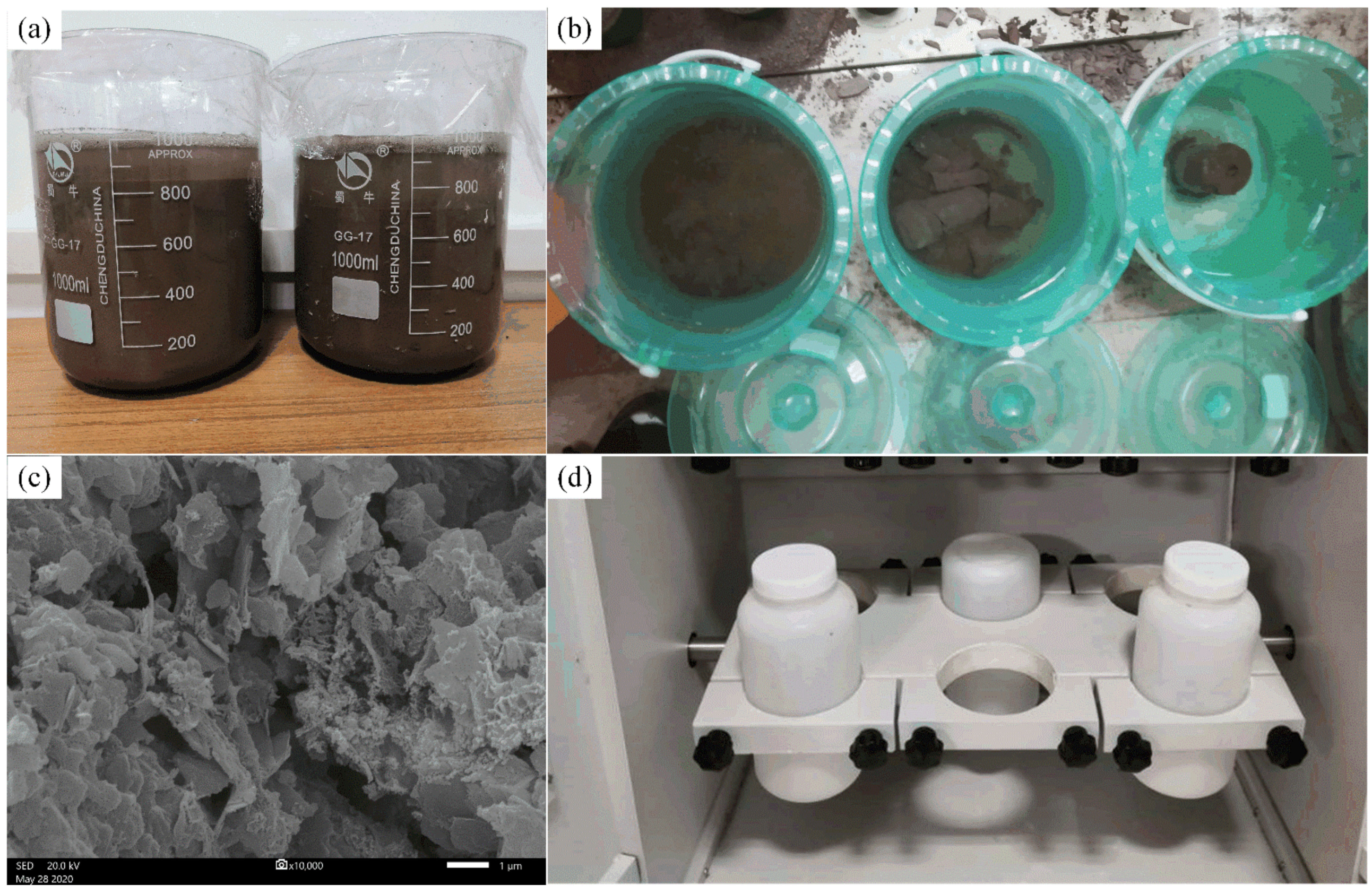 Ijerph 18 08094 g003 550