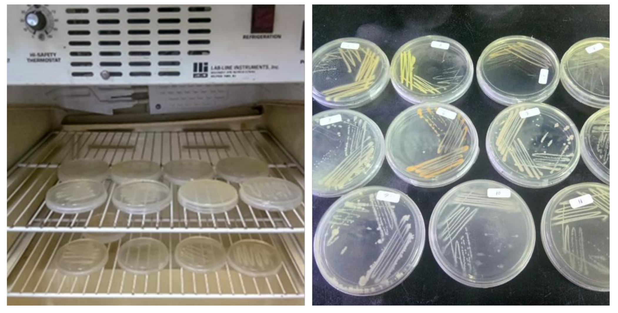 Ijerph 18 08192 g012