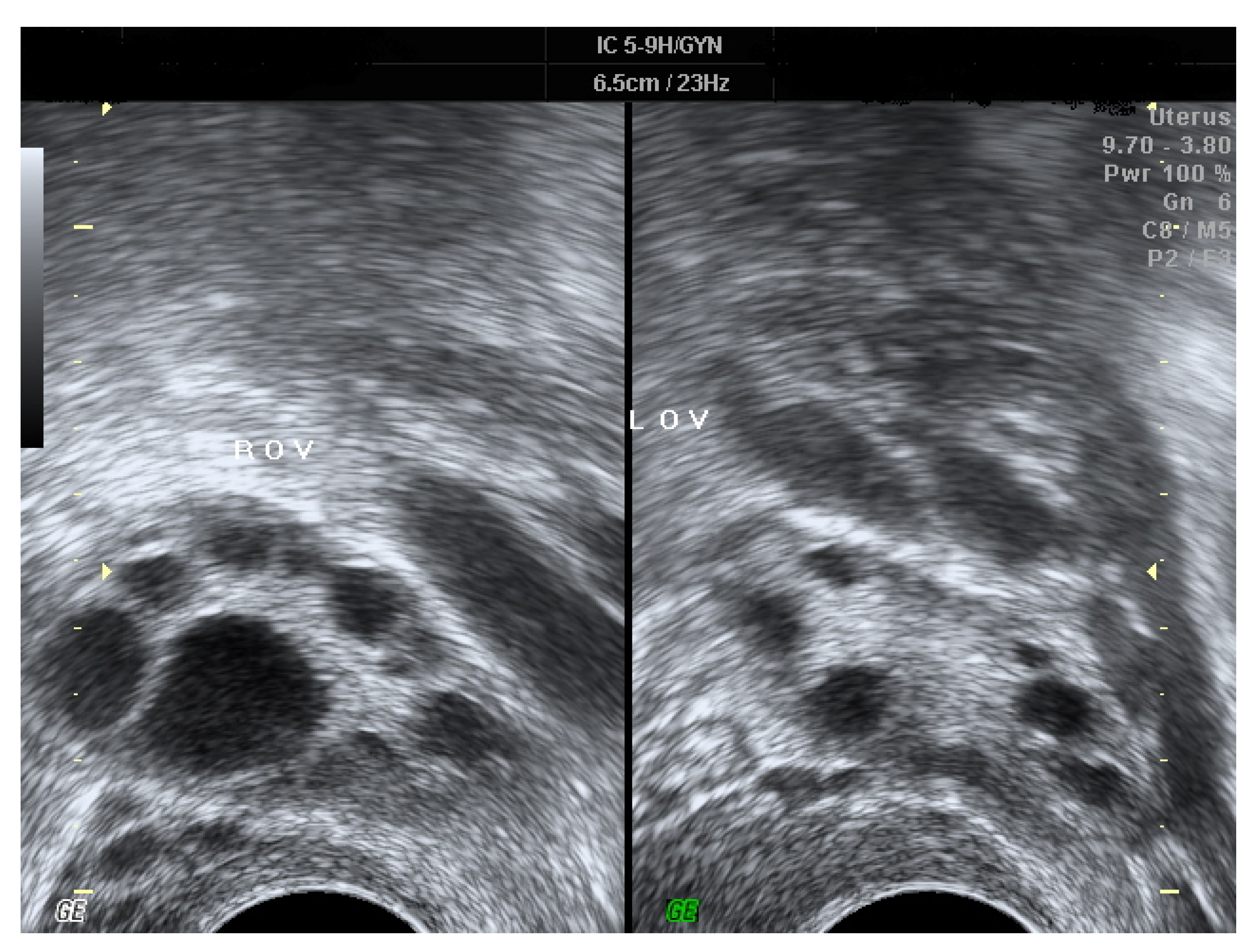 Ijerph 18 08253 g001 550