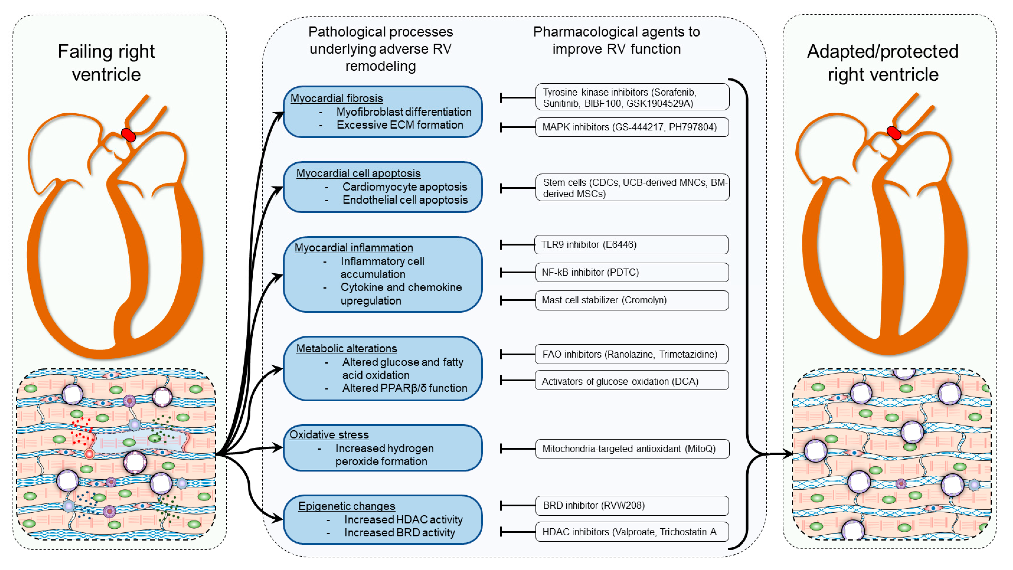 Ijerph 18 08297 g007 Ijerph 18 08297 g007