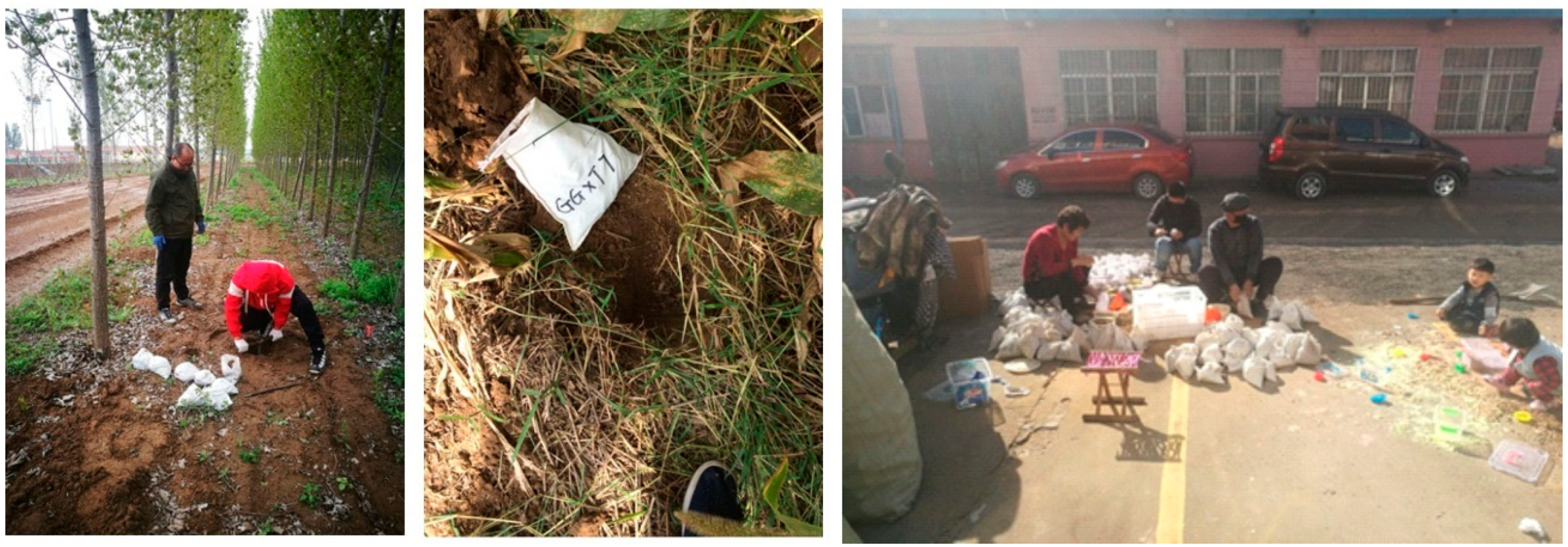 Ijerph 18 08329 g002 550