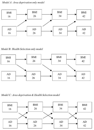 26 bmi BMI &