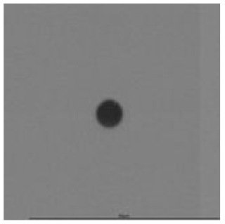 Ijerph 18 08346 i001