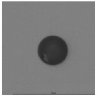 Ijerph 18 08346 i007