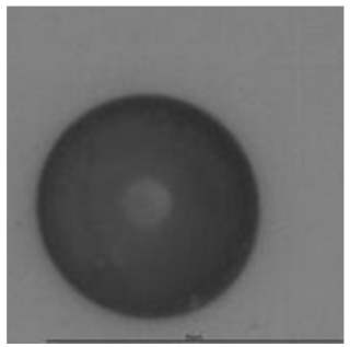 Ijerph 18 08346 i009