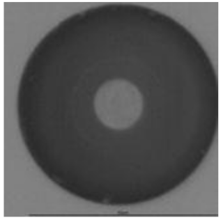 Ijerph 18 08346 i010